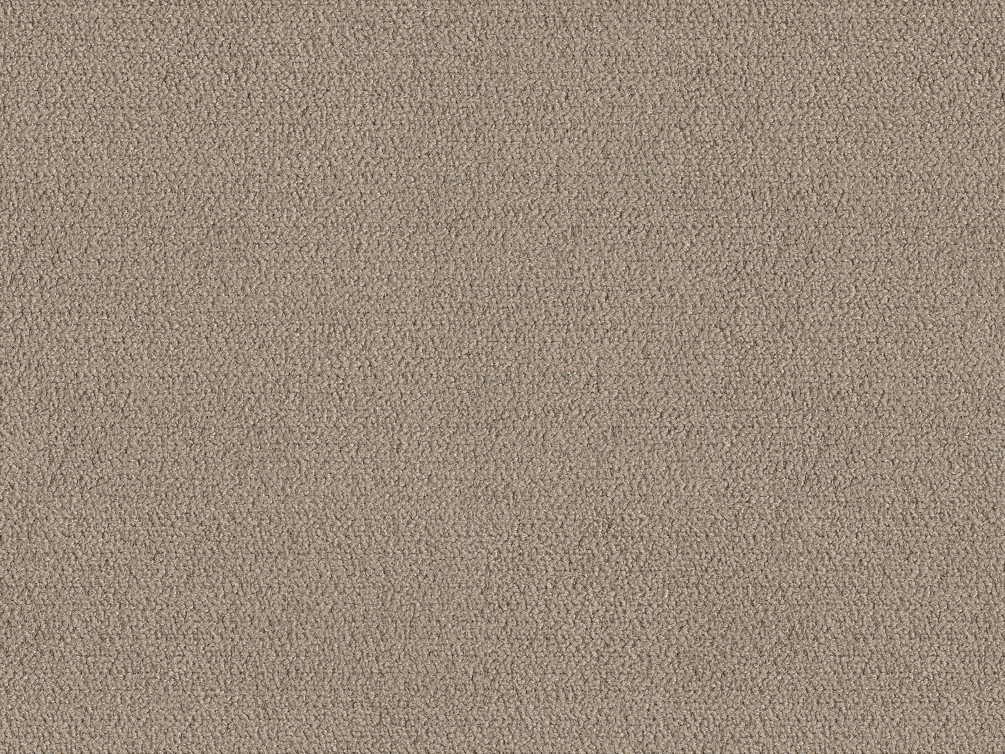 Bassett STONE            CUT&SEWN 