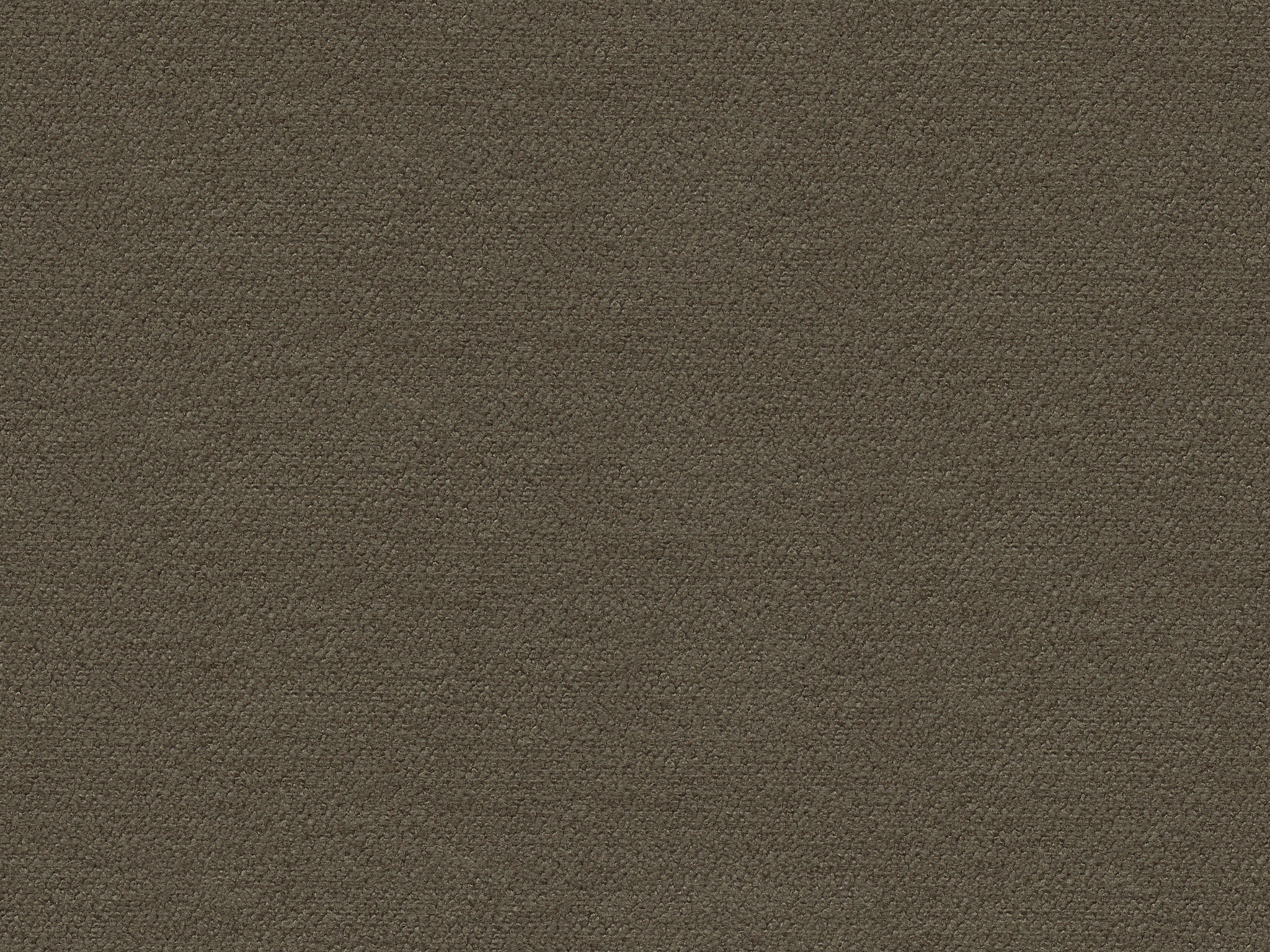 Bassett STEEL     CUT&SEWN 
