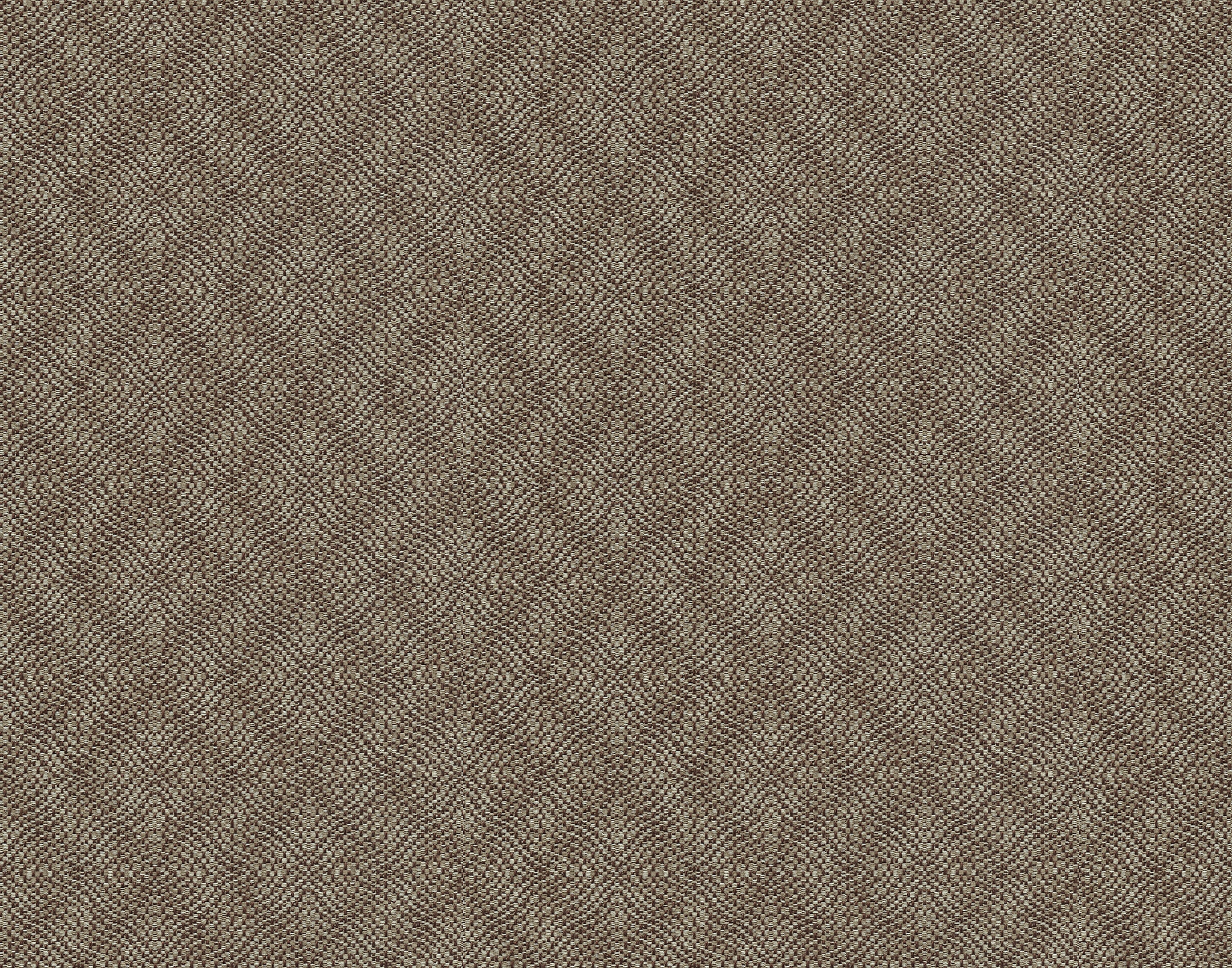 Bassett TRUFFLE          CUT&SEWN 