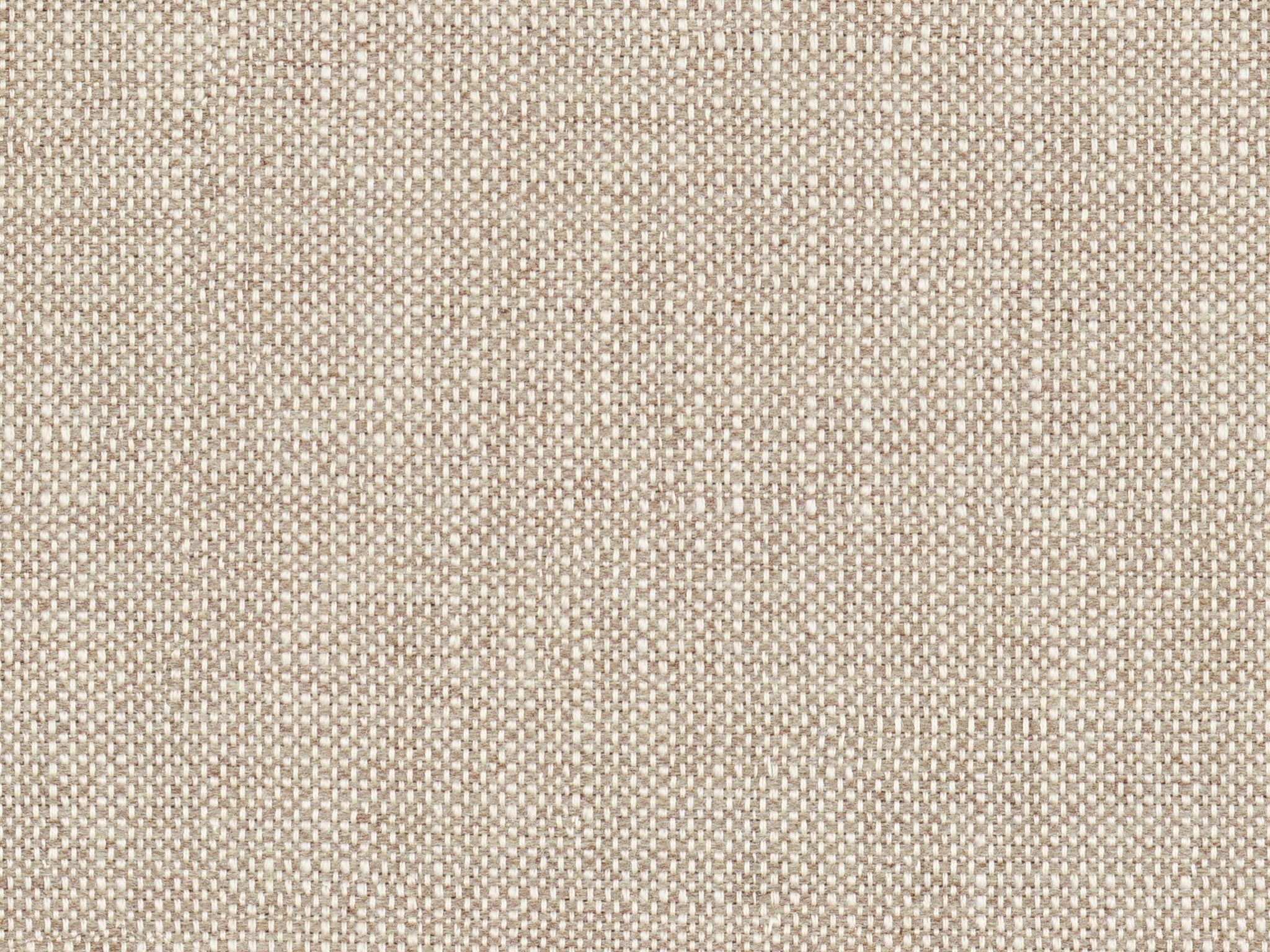 Bassett MUSHROOM  PERFOMANCE TEXTURE 