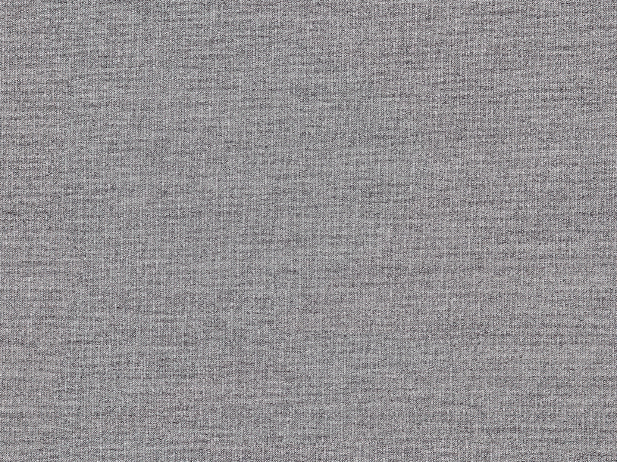 Bassett Cortina Lead 