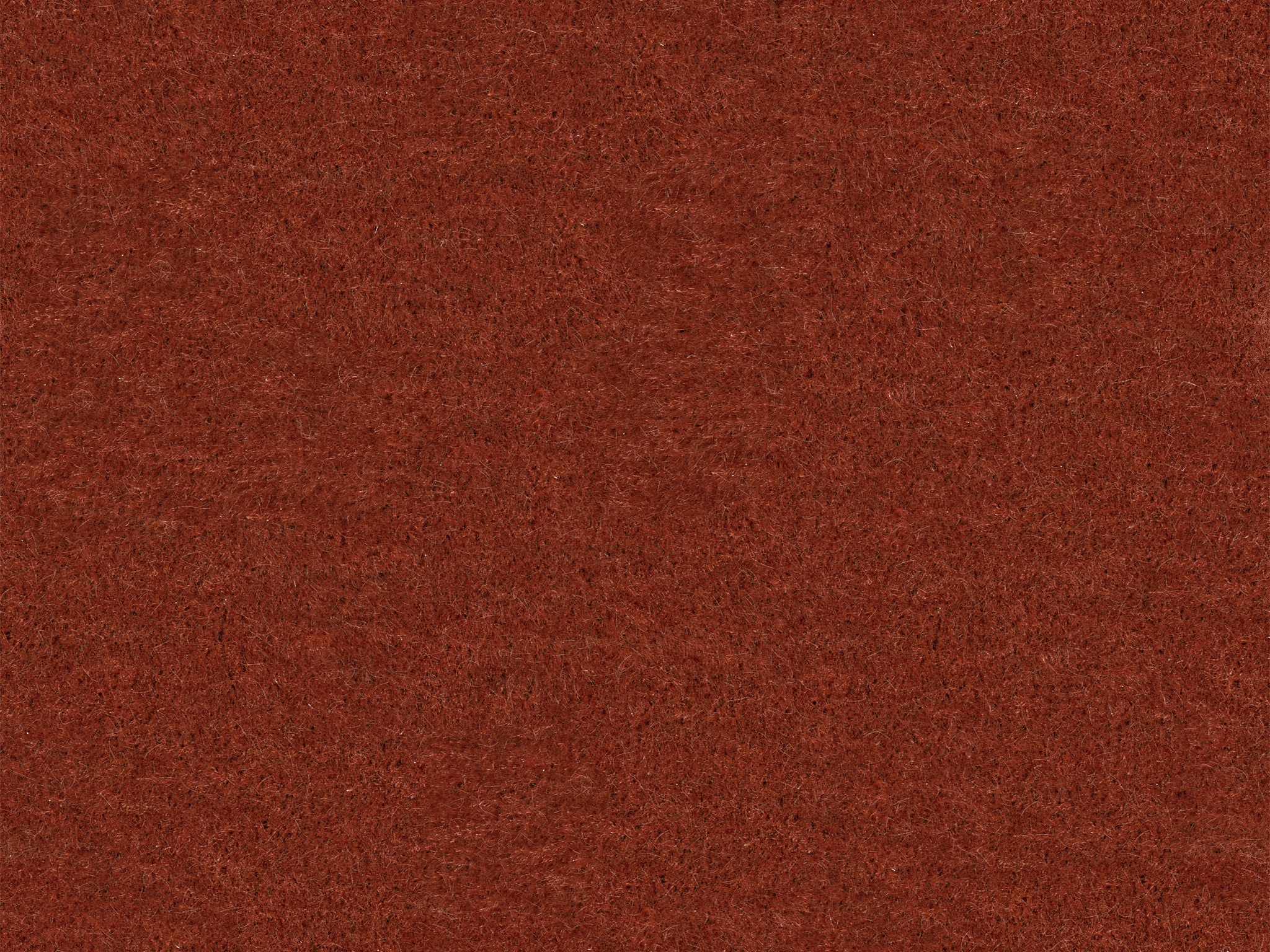  43684 NEVADA BARK
