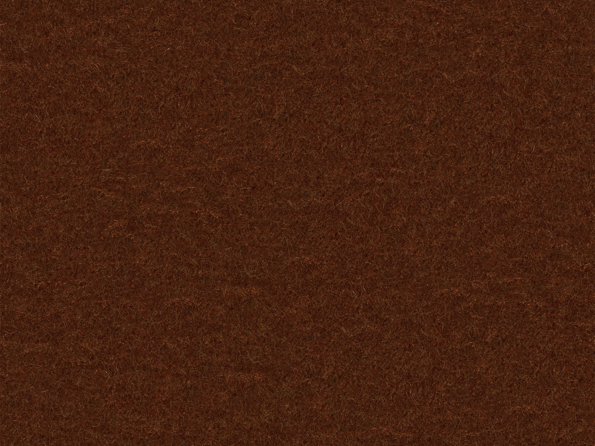  43685 NEVADA CINNAMON