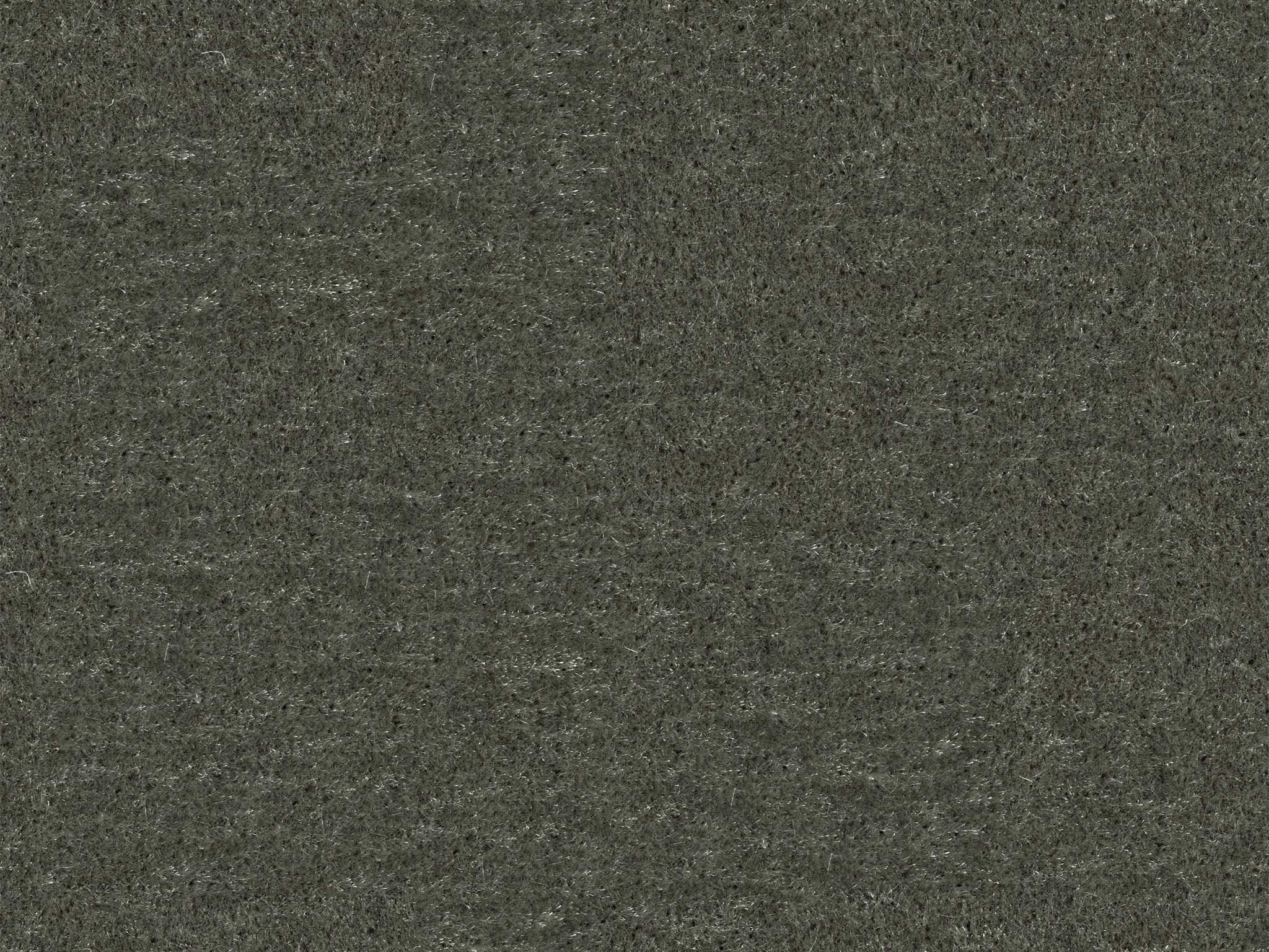  43731 NEVADA FLAXEN