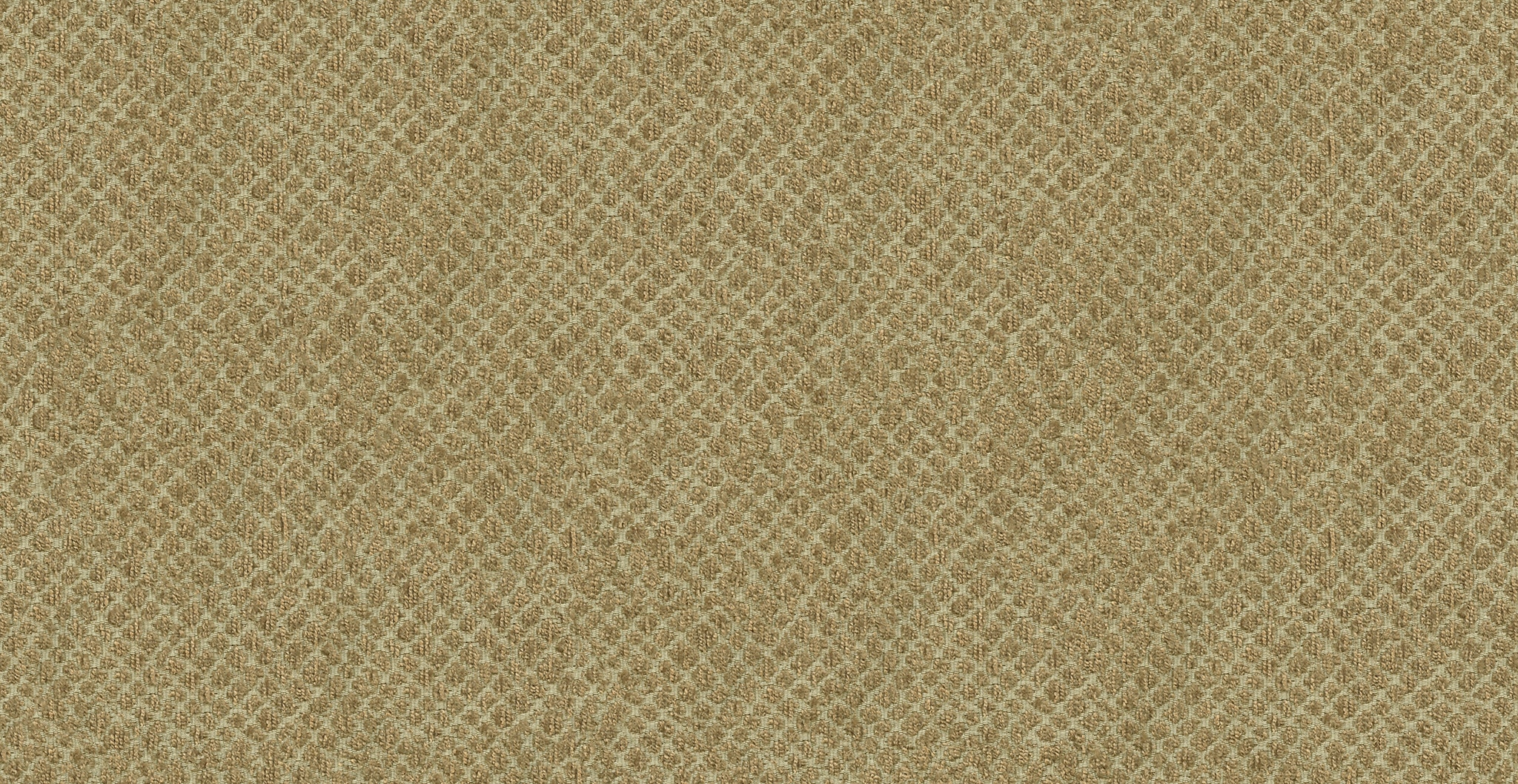  40768 NIKO CAMEL