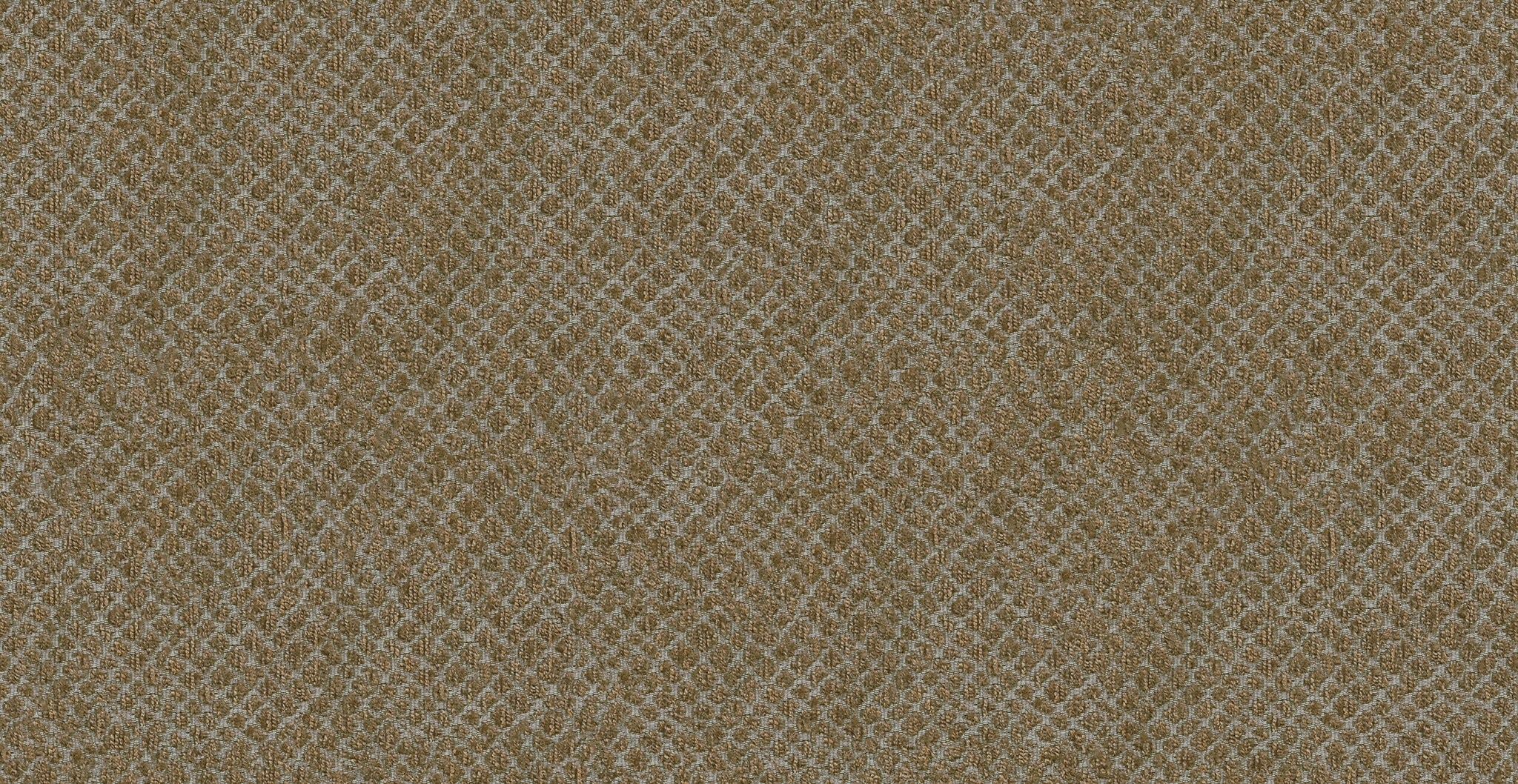  40769 NIKO TAN