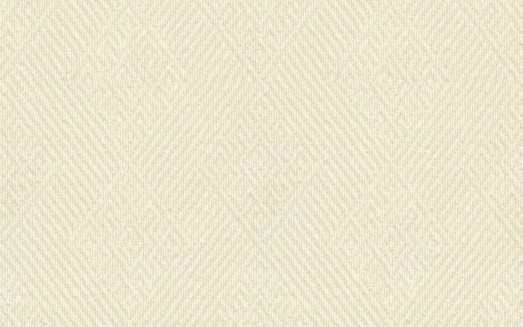  40818 TAME WHITE