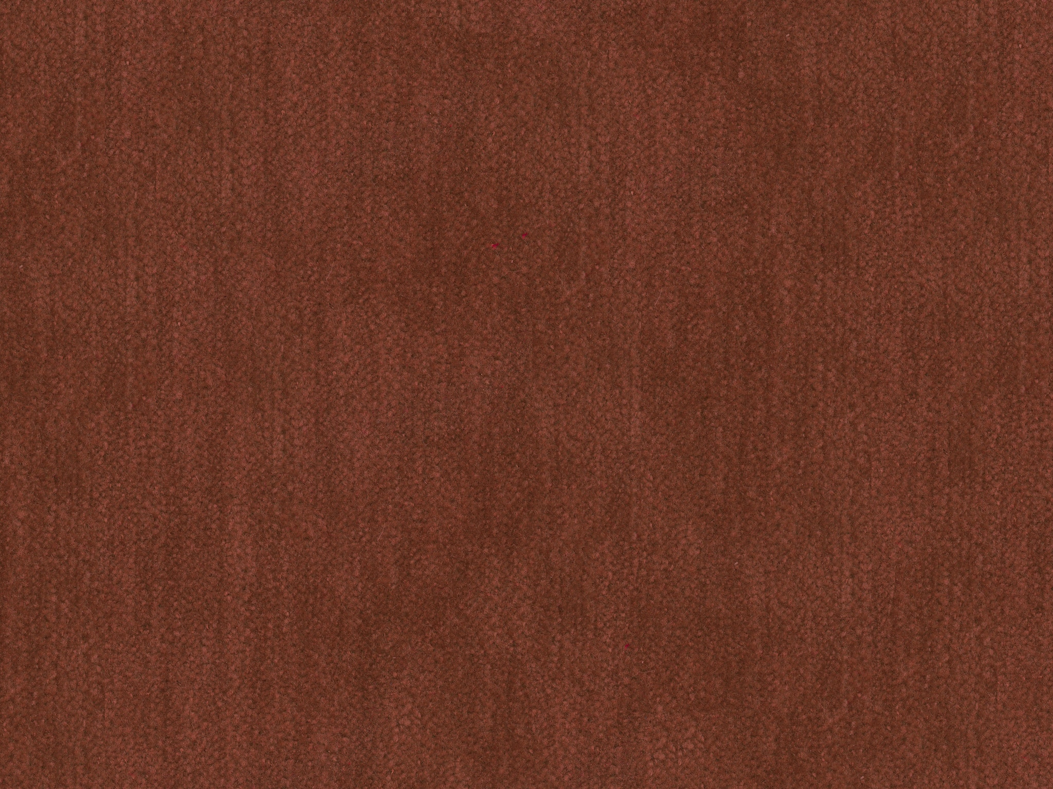  43395 THORNE TERRACOTTA