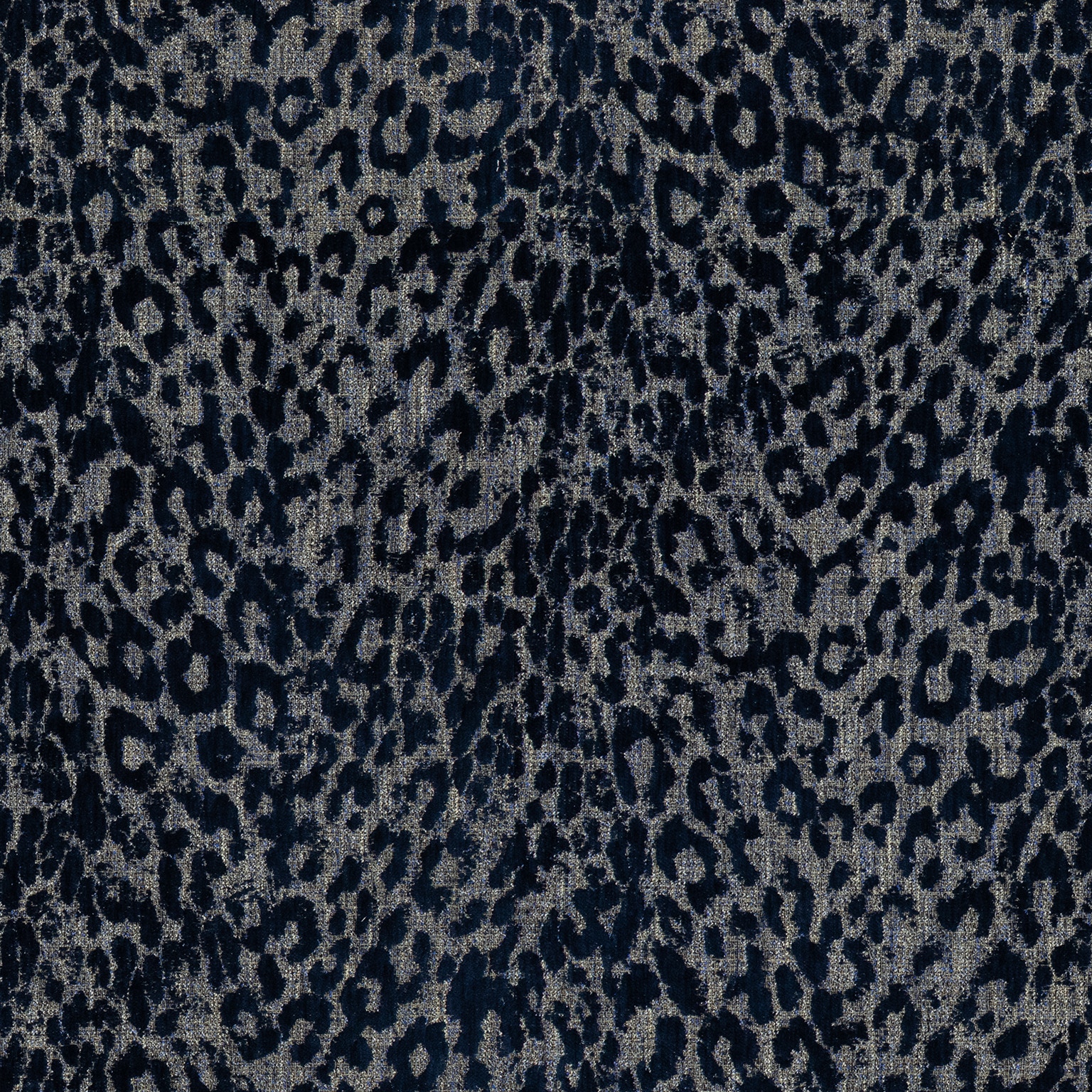  42203 ZOO NAVY