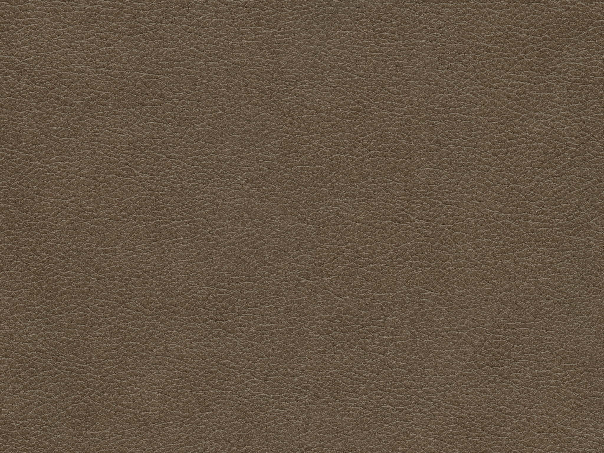 Grey 8183 EVOLUTION FOX