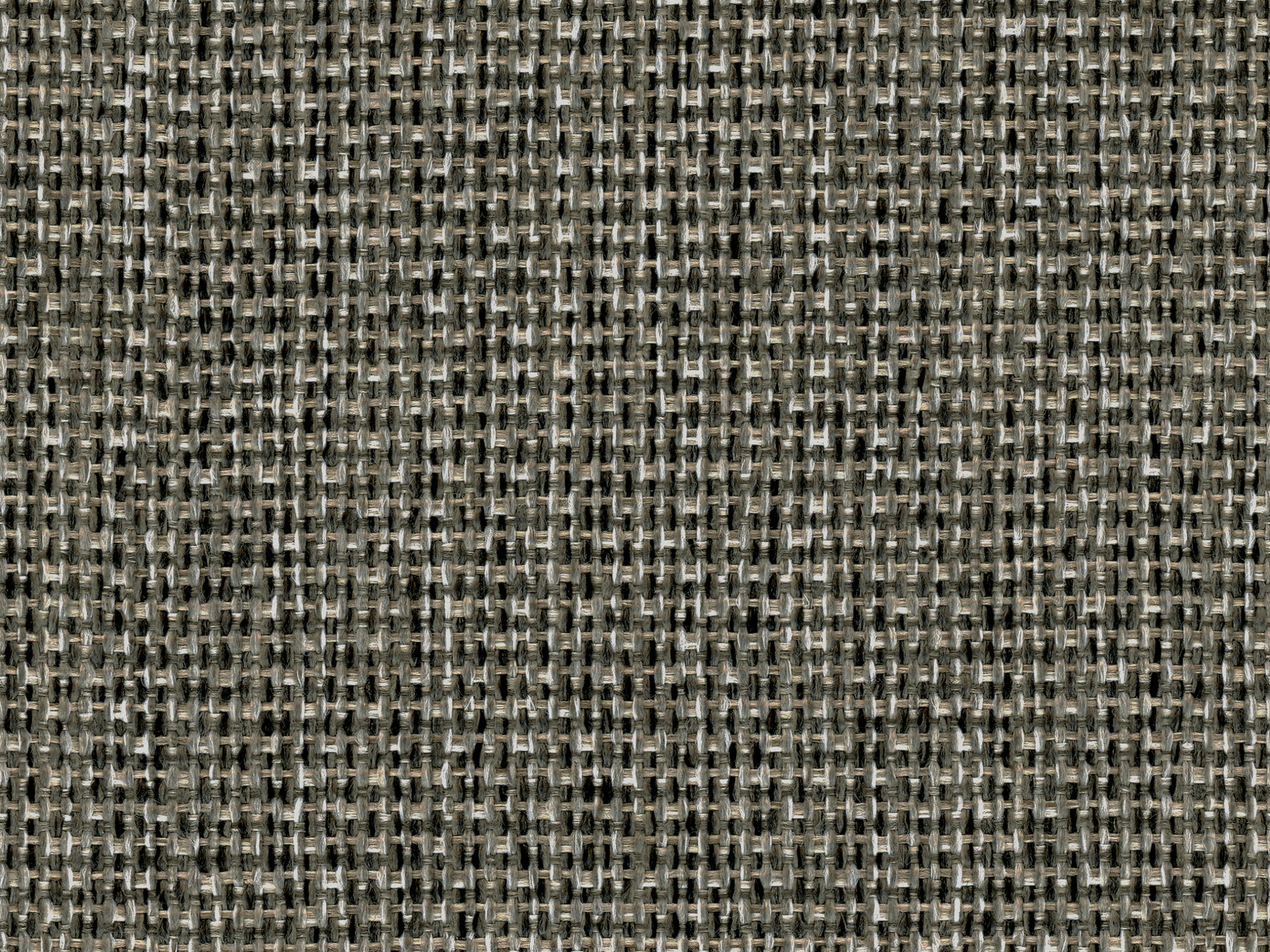  8775 INVITATION TWEED