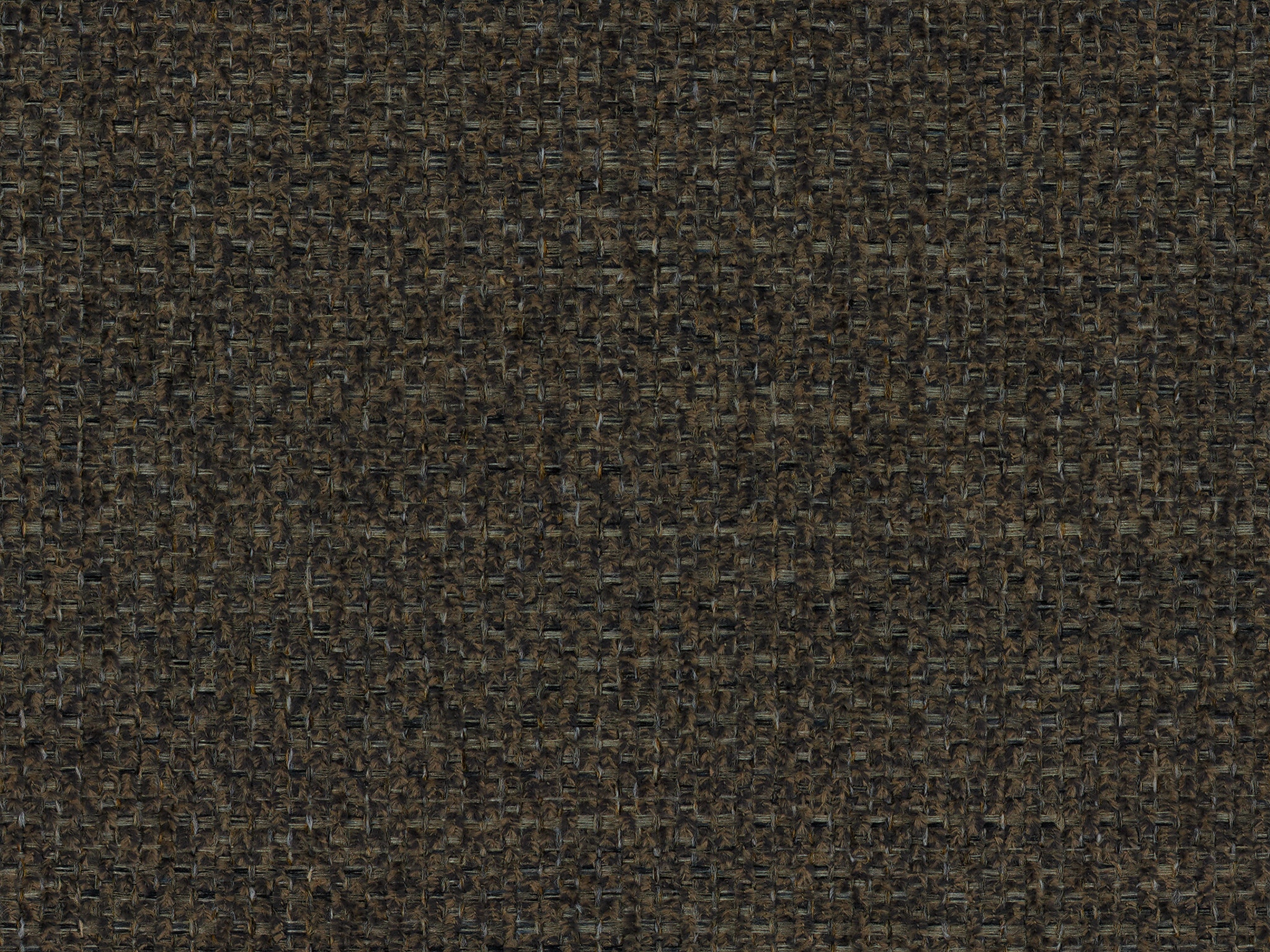  9056 LUCILLE MUSHROOM
