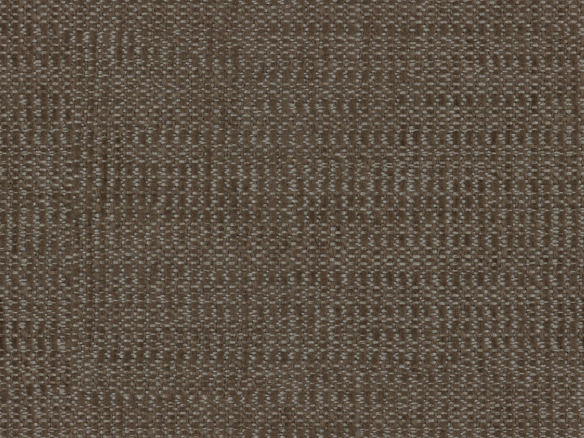  9215 PACINO FOSSIL