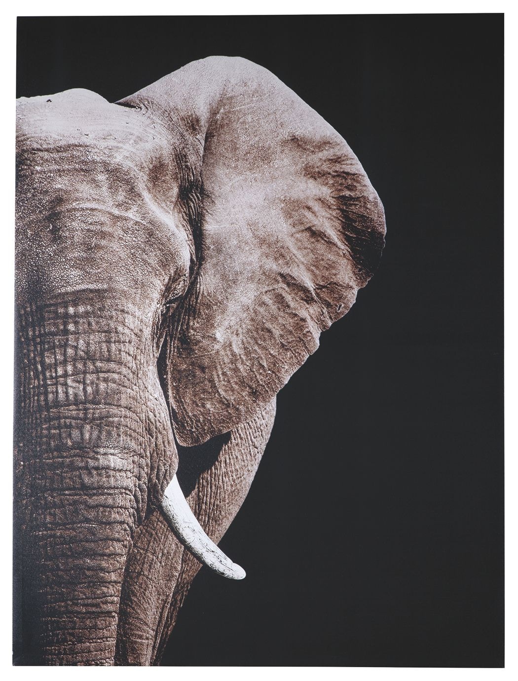 Signature Design by Ashley Art Jendayi Wall Art A8000281