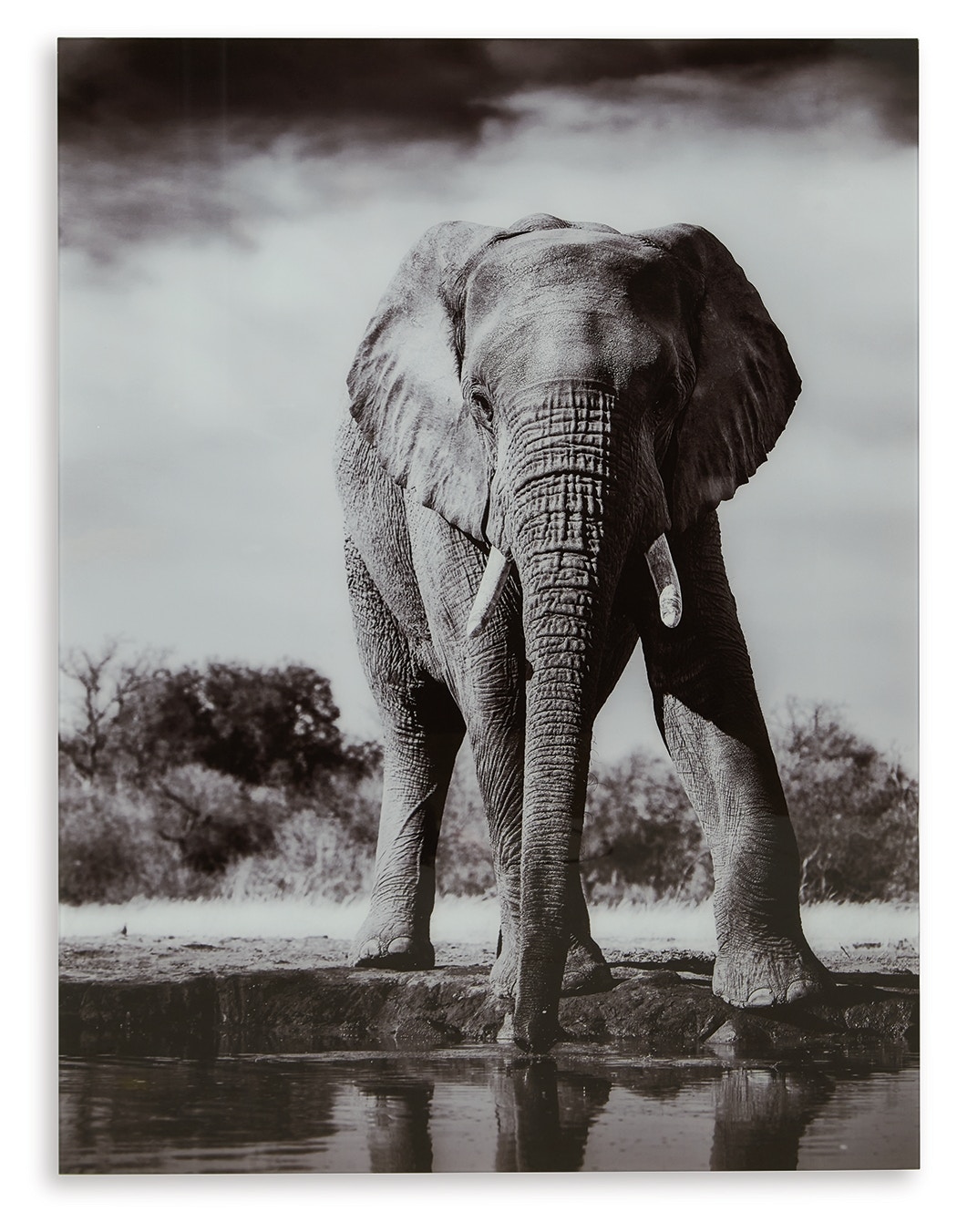 高級感 アート・デザイン・音楽 ELEPHANT BRAND2 - アート