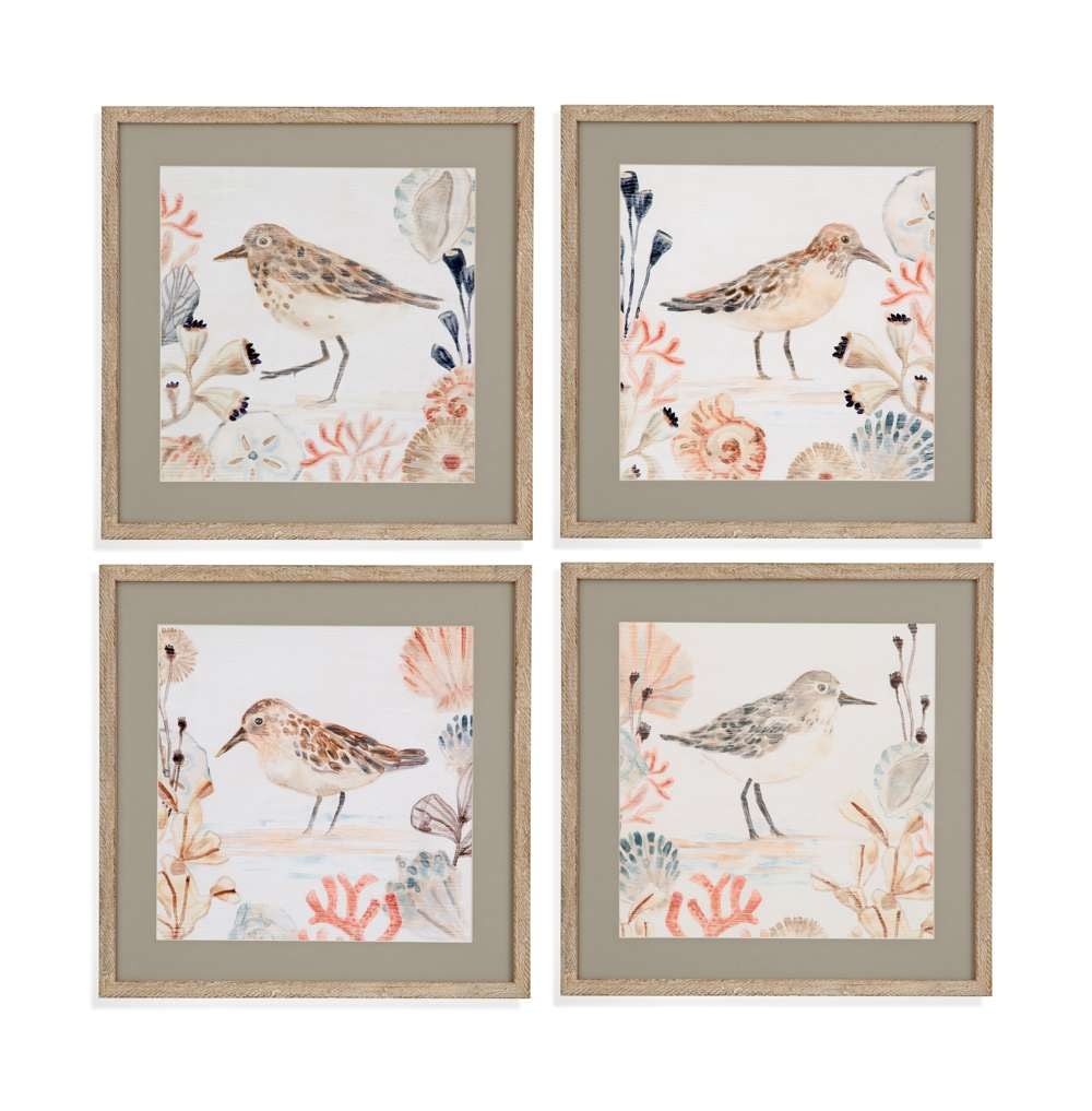  Shell Pipers Framed Print Set of 4 