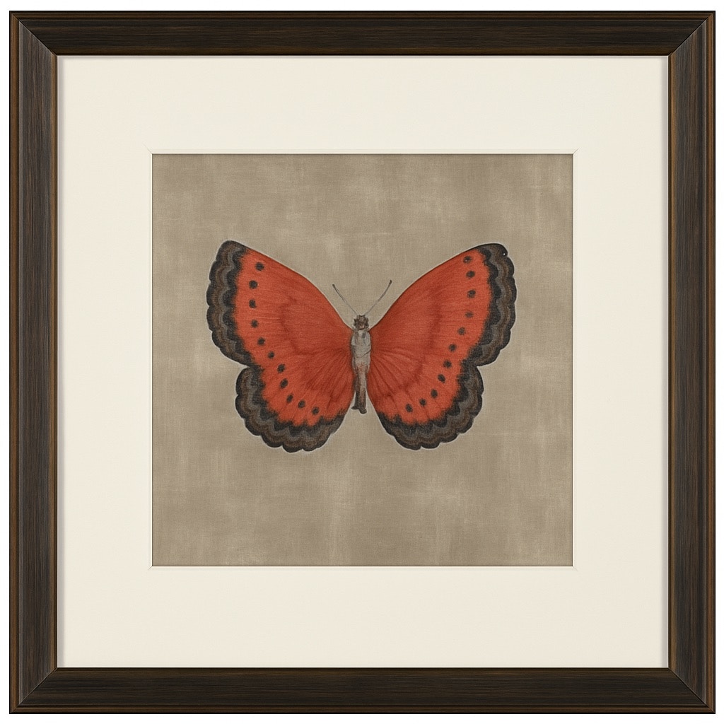  Papilio Luxe - Terra Framed Print 