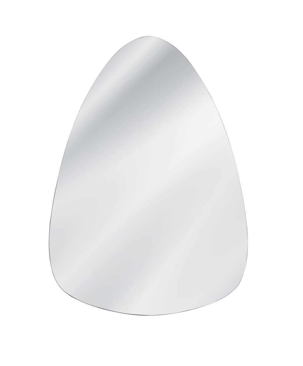 Bassett Mirror Company Reinhold Wall Mirror M5128