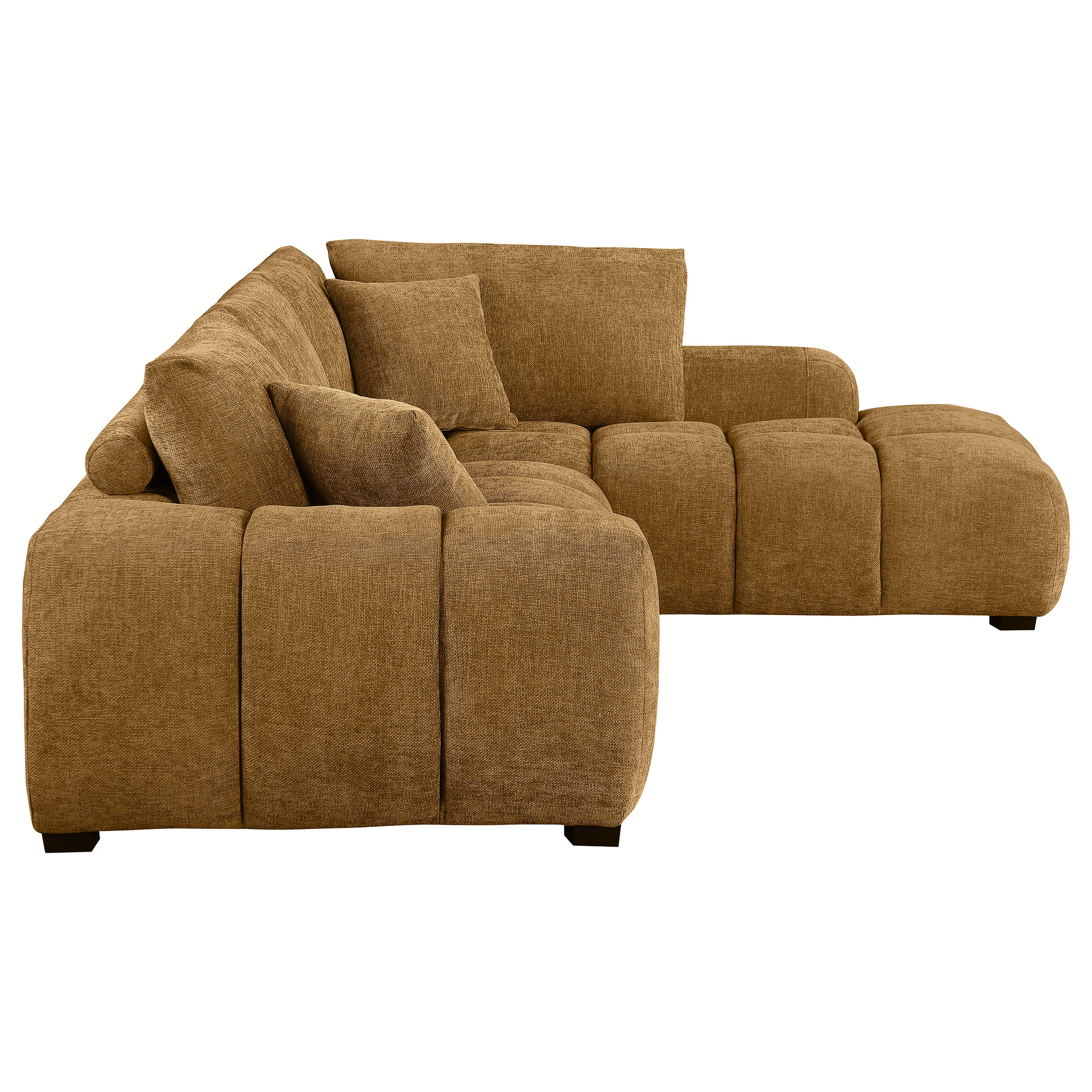 Coaster Living Room Camacho Upholstered Chaise Sectional Sofa