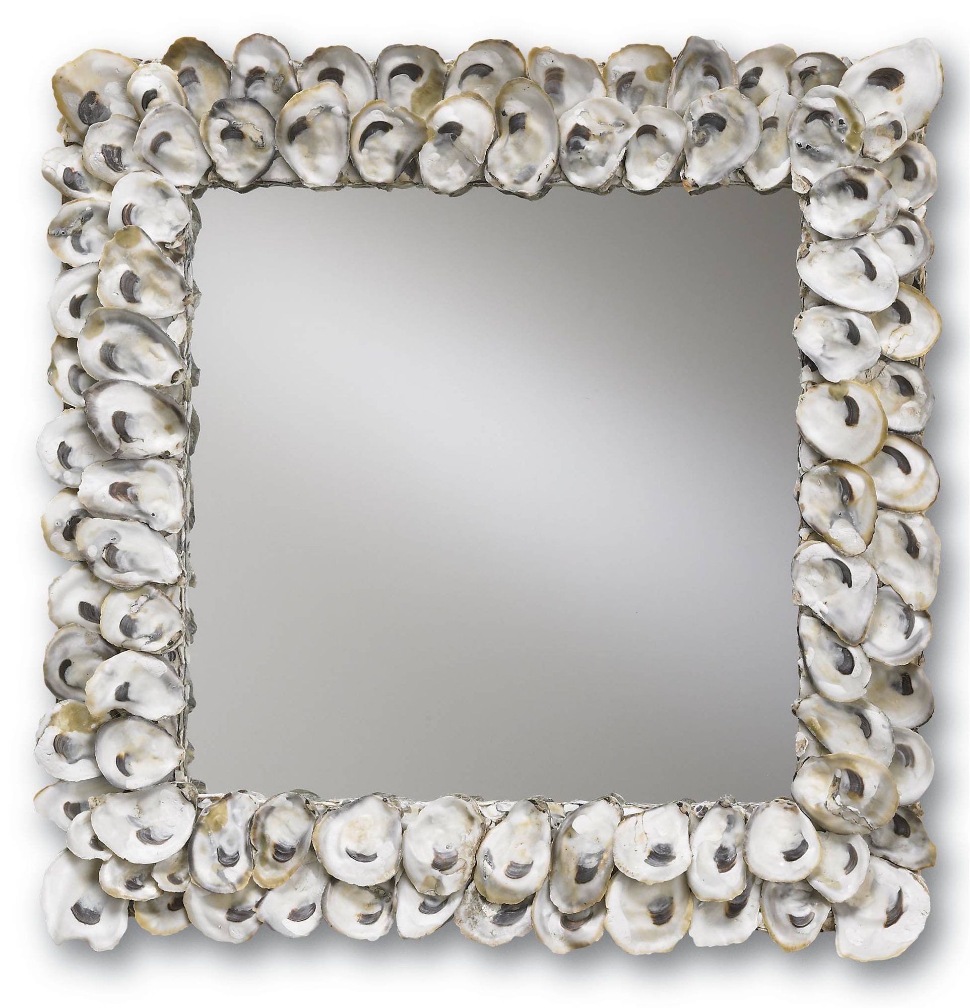 Oyster Shell Square Mirror CY1348