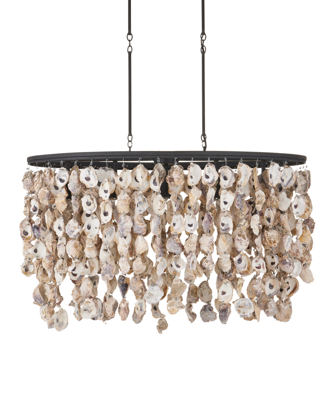 発掘 - 新登場ブランド Shell Oyster Stillwater Oval CY9492 Chandelier ライト・ランタン