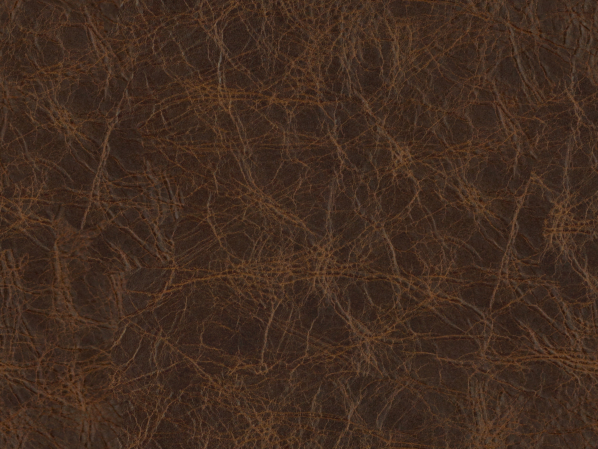 900019 CAPRIEZE SABLE