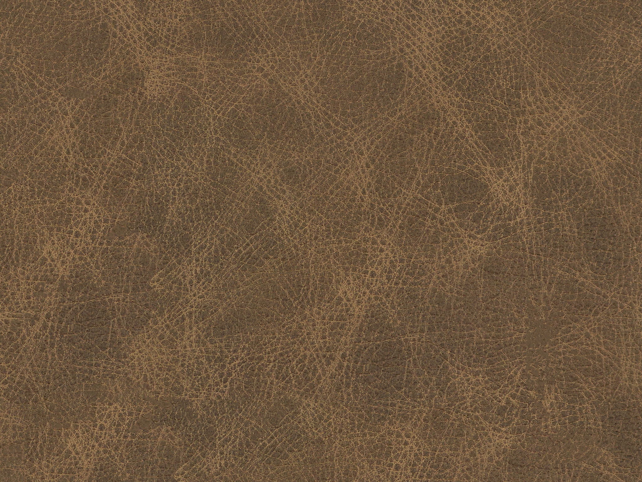 900016 CHEYENNE SAWBUCK SANDY