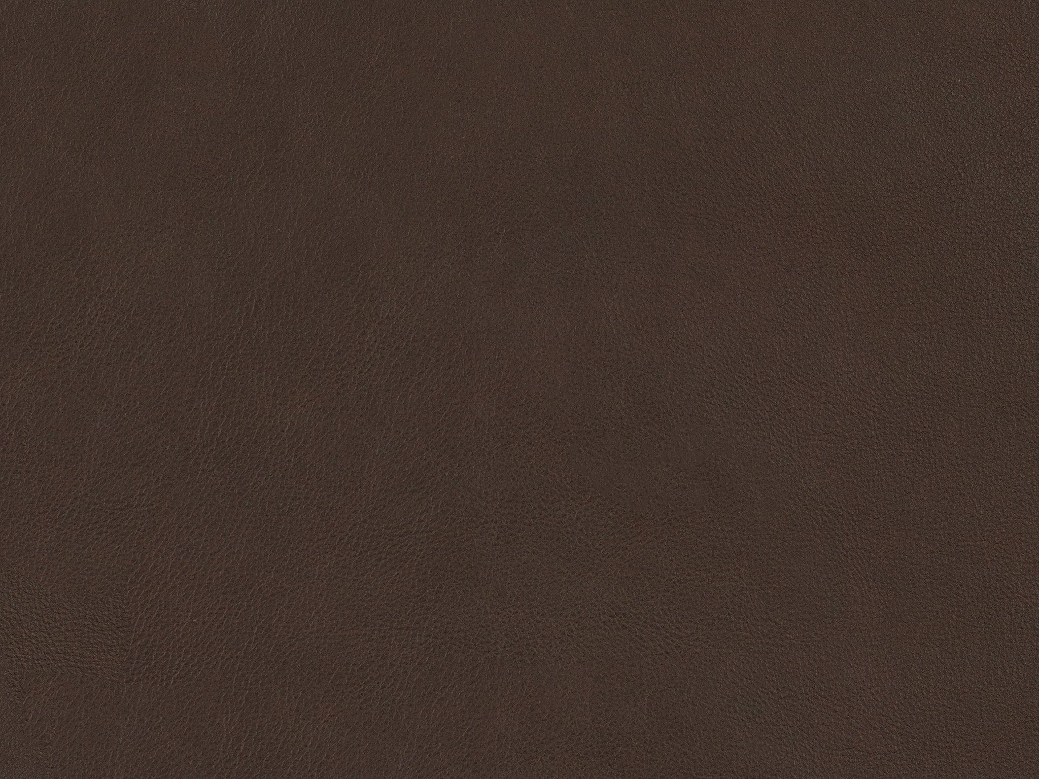 900021 DEFY CHOCOLATE