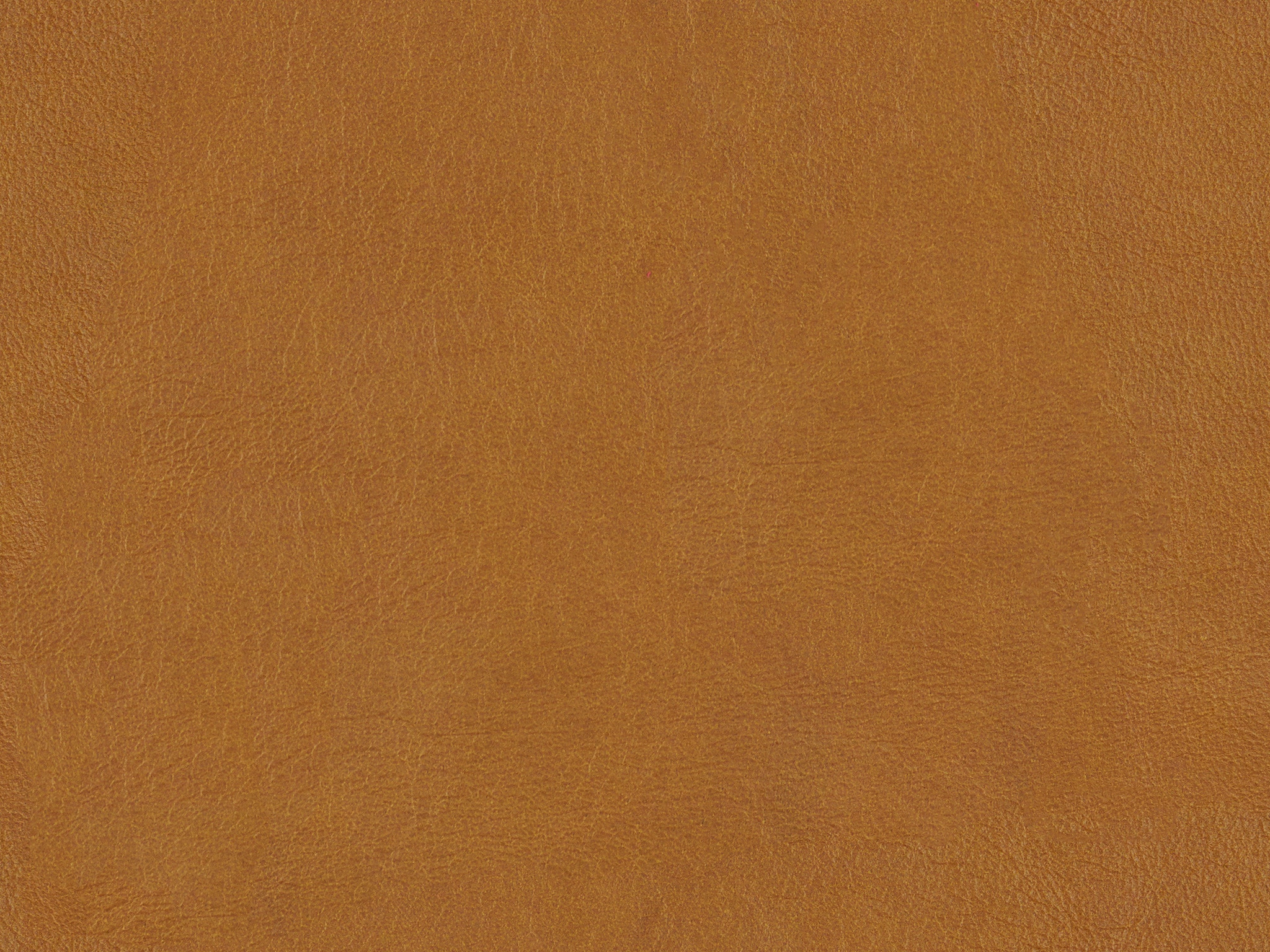 900020 DEFY FAWN
