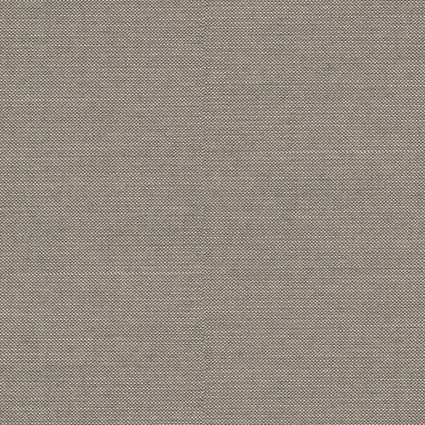 Black 119716 SPECTRUM DOVE