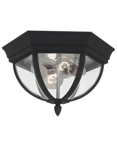 Visual Comfort & Co. Wynfield Two Light Outdoor Flush Mount 78136