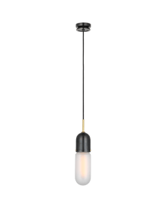 Visual Comfort & Co. Junio Single Light Pendant TOB56451