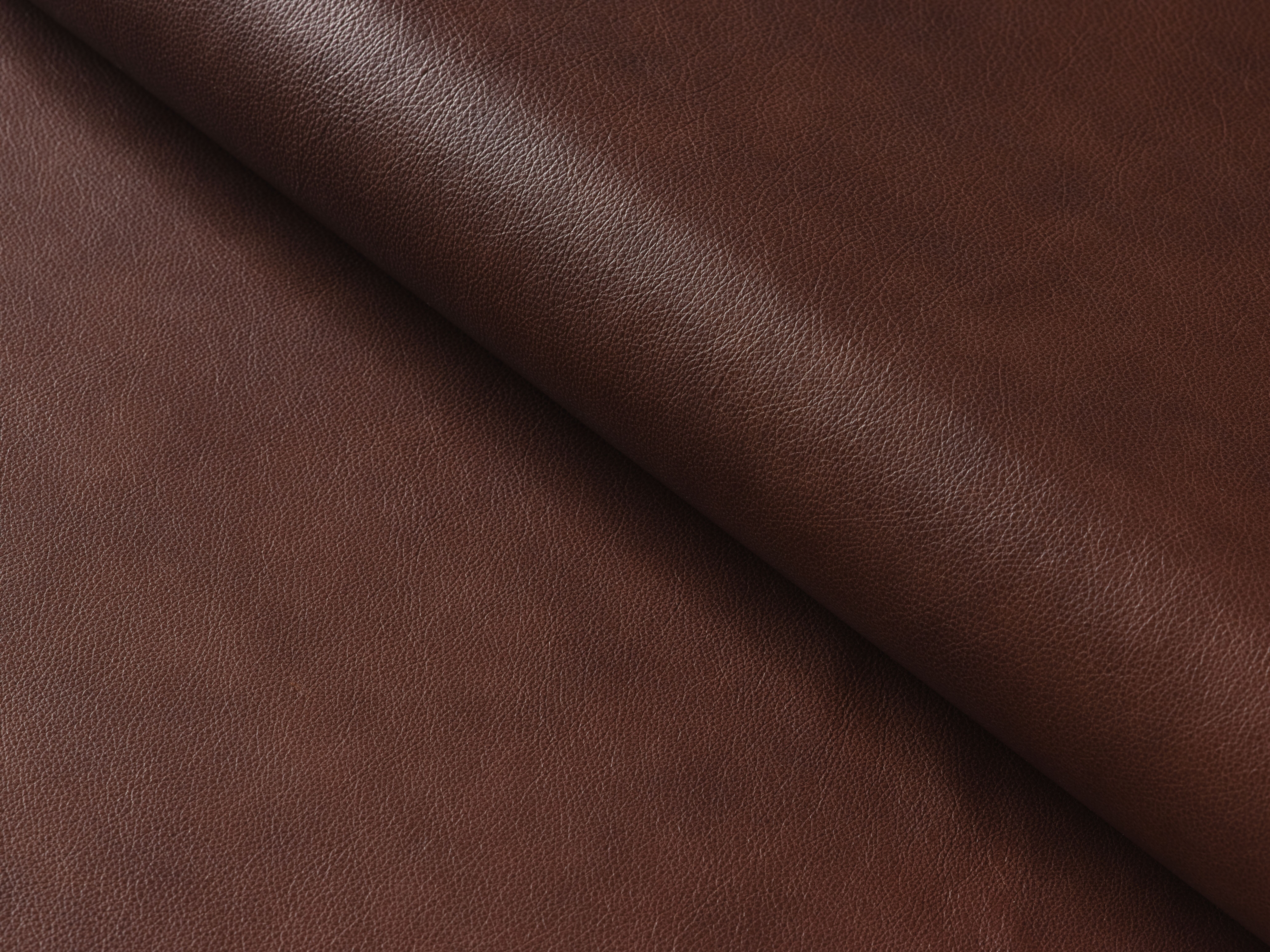Palliser Furniture Cavalier Whiskey Cavalier Whiskey