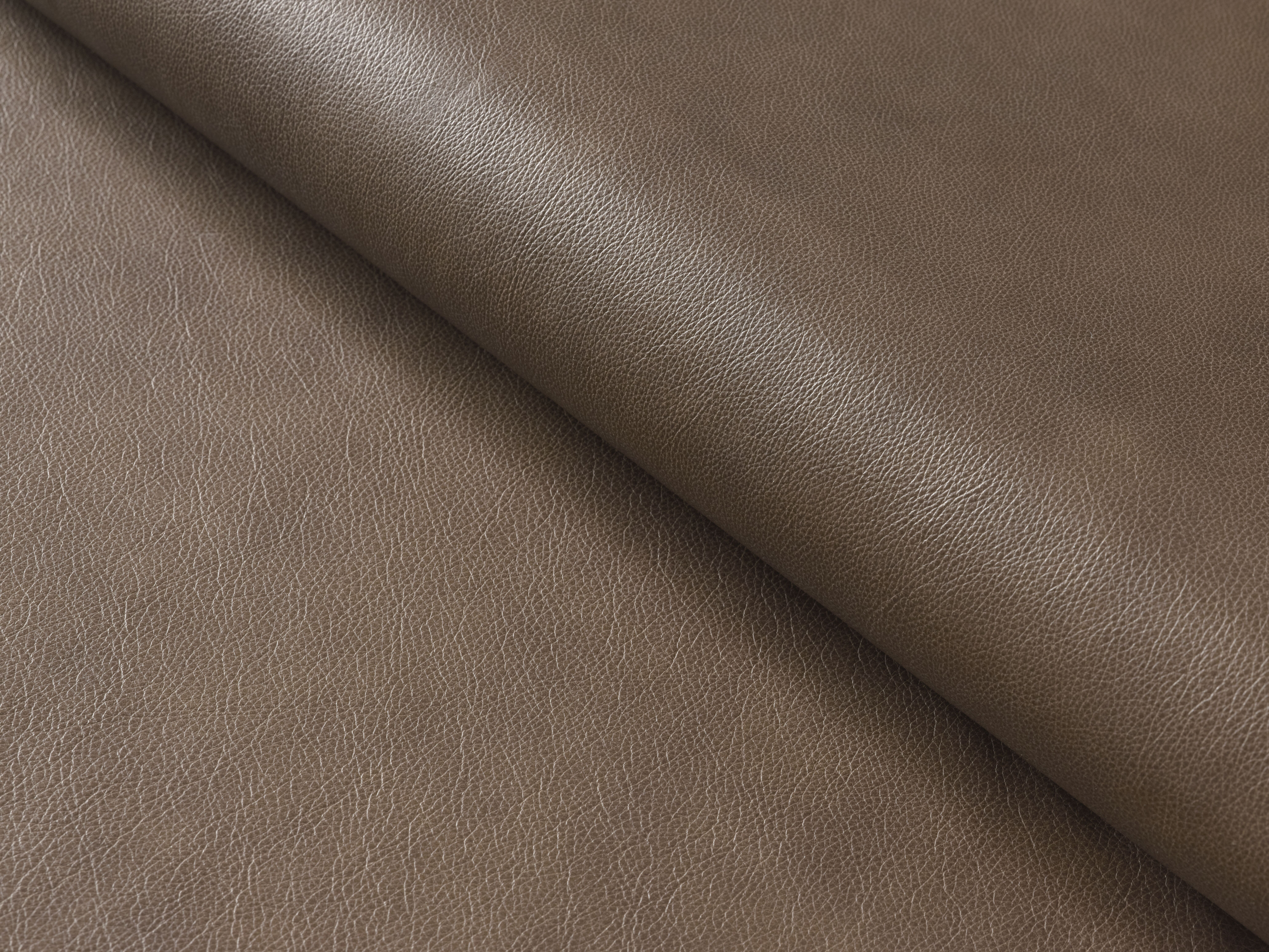 Palliser Furniture Cavalier Tawny Cavalier Tawny