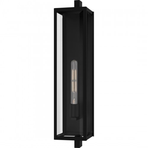 Quoizel Dale 1-Light Matte Black Outdoor Wall Lantern DLE8406MBK