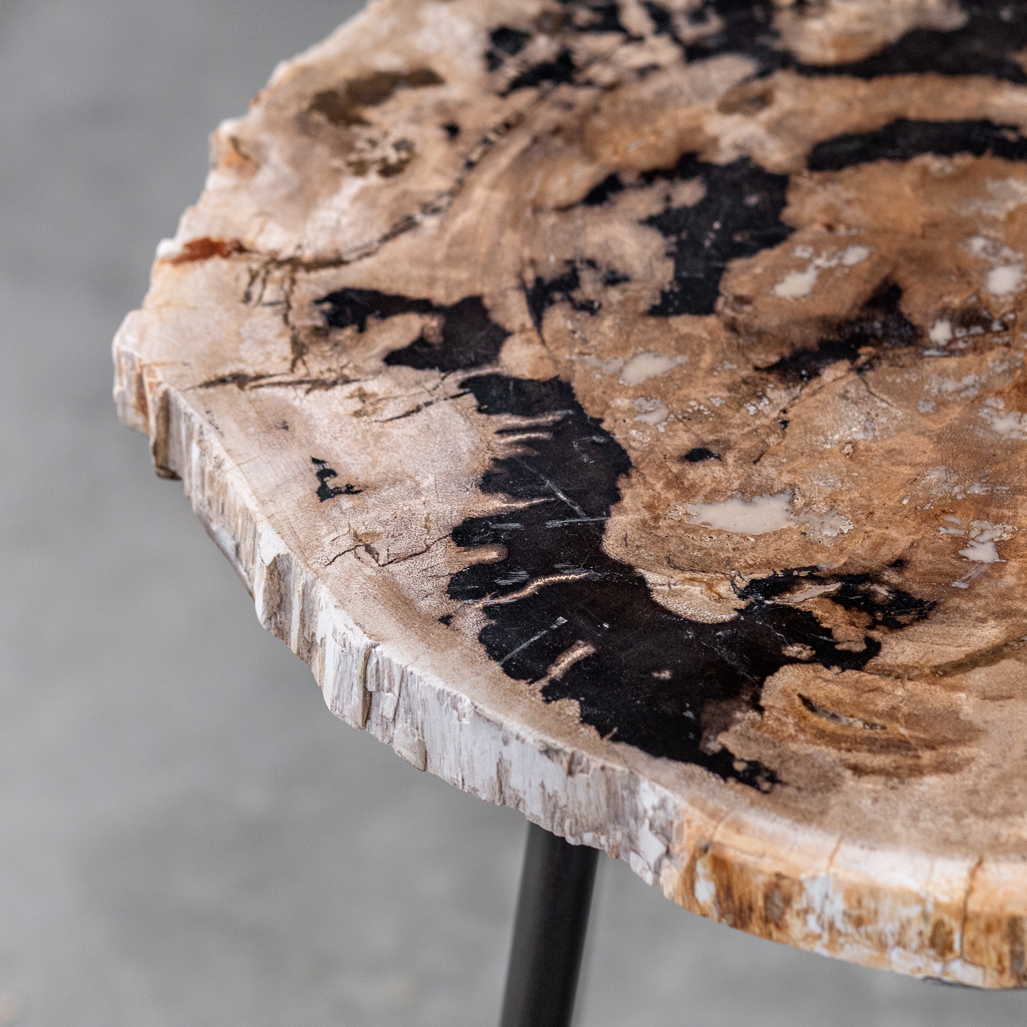 Mircea Petrified Wood Accent Table - Thumbnail 5