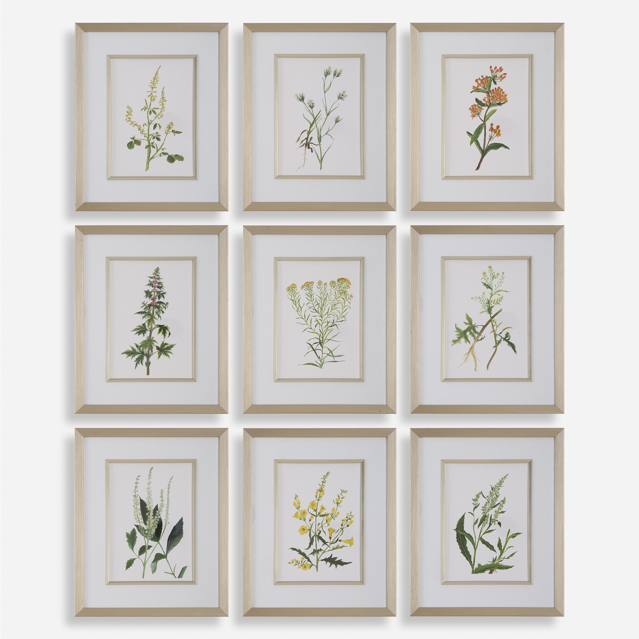 left botanical ⚪︎×△ Uttermost Botanical Flowers Framed Prints Set/9 32339