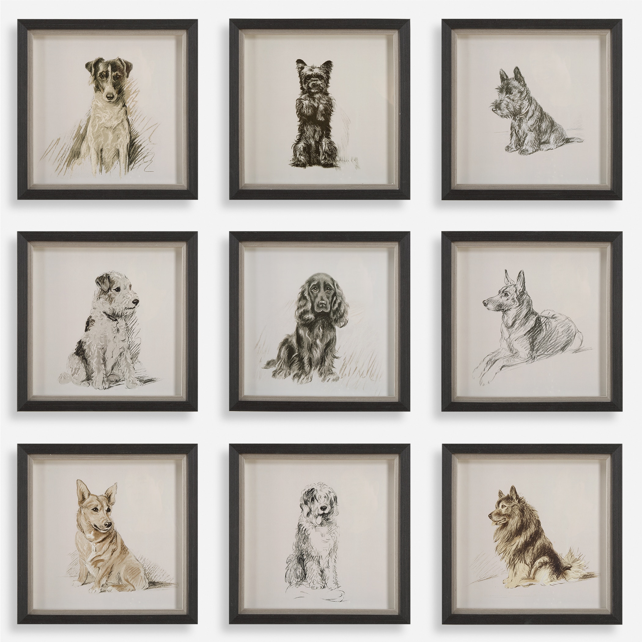 Loyal Companion Framed Dog Prints Set/9 UT32344