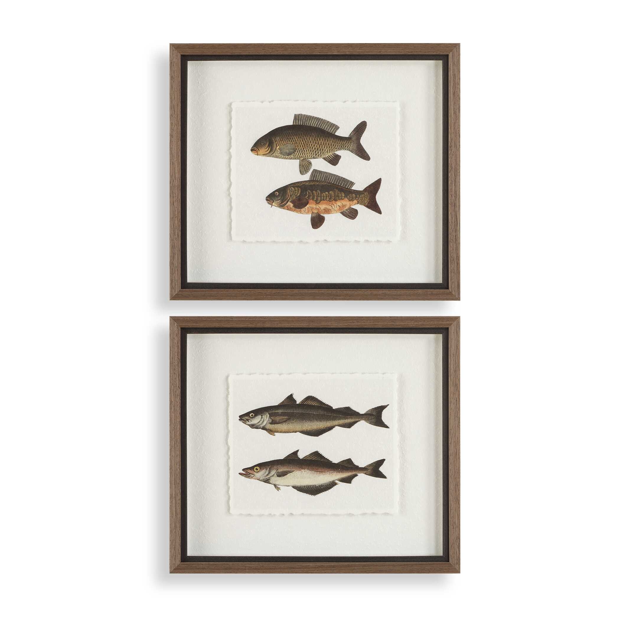 The Catch Framed Fish Prints Set/2 UT32448