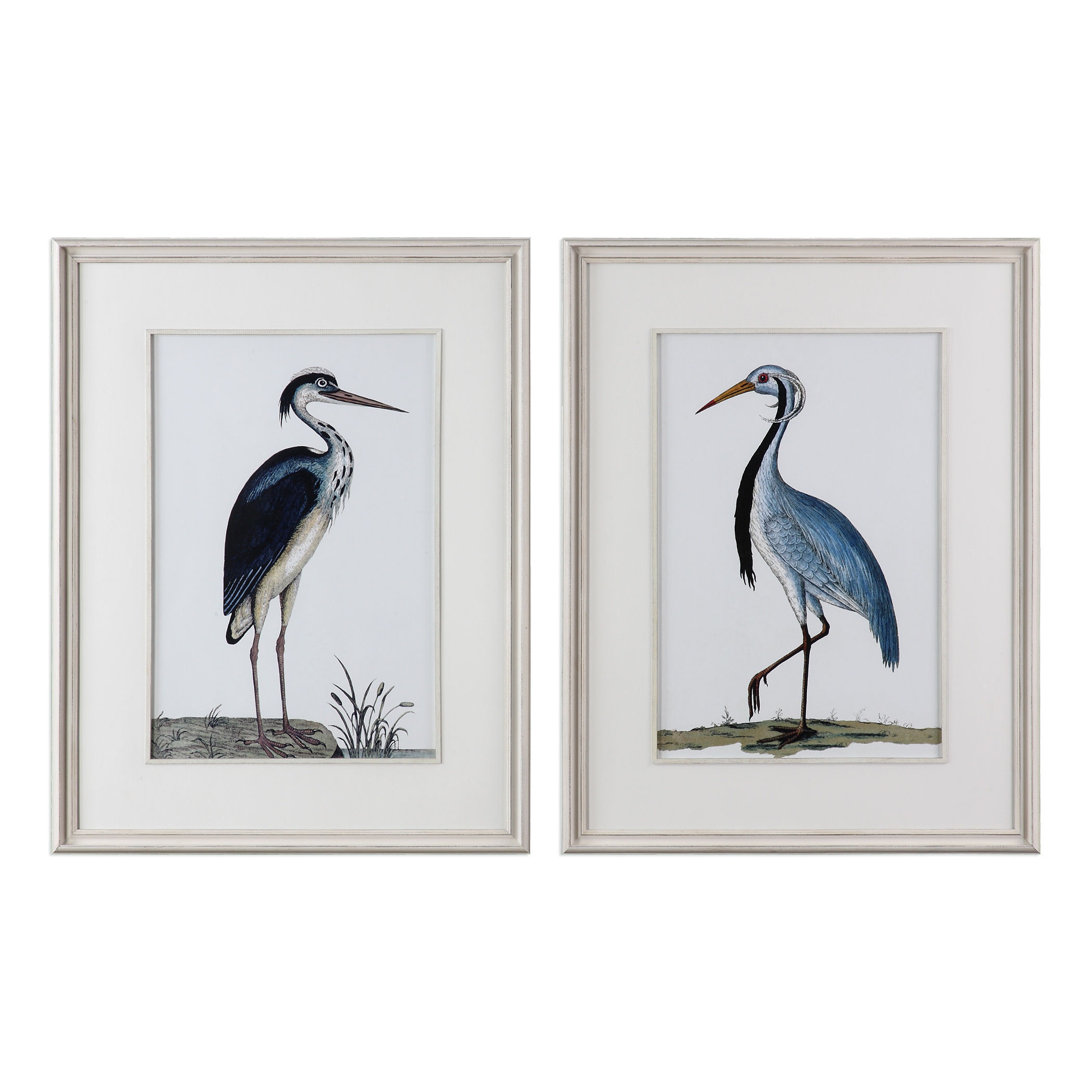 Shore Birds Framed Prints Set/2 UT33668