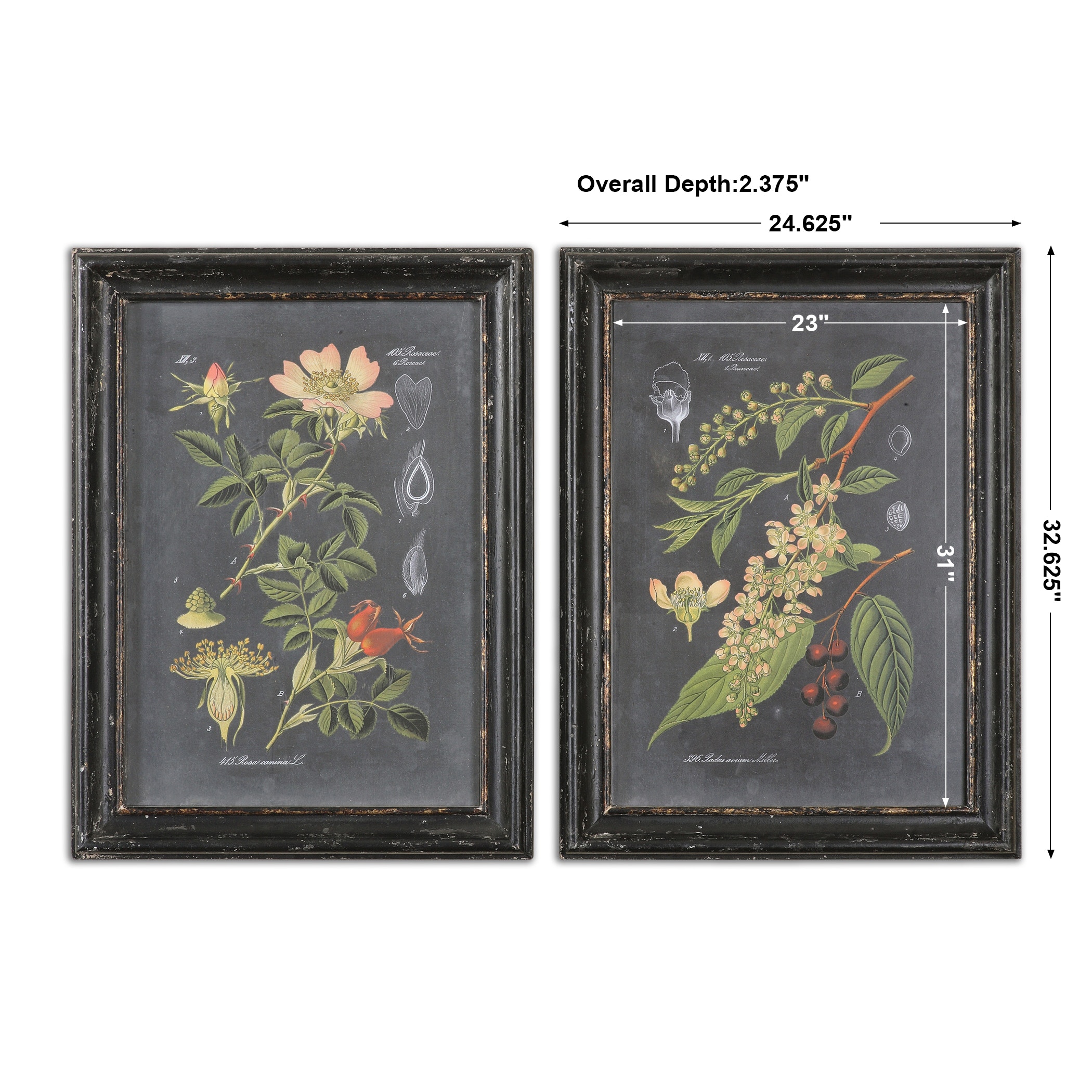 Midnight Botanicals Wall Art Set/2 UT56053