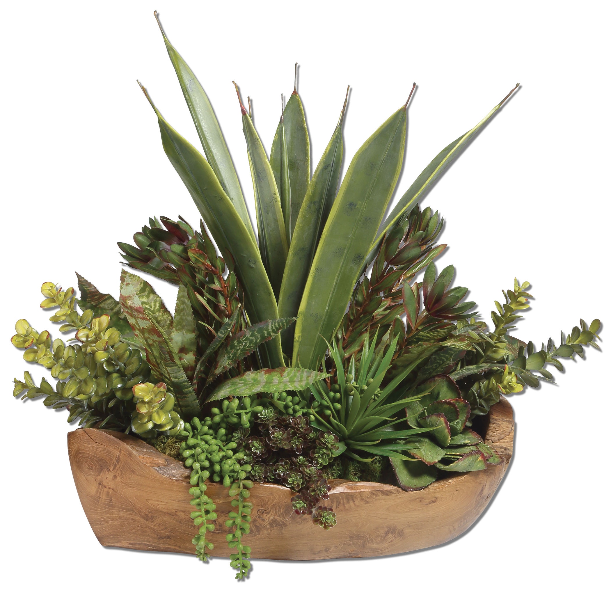 Uttermost Flowers and Plants Salar Succulents In Teak Bowl 60119