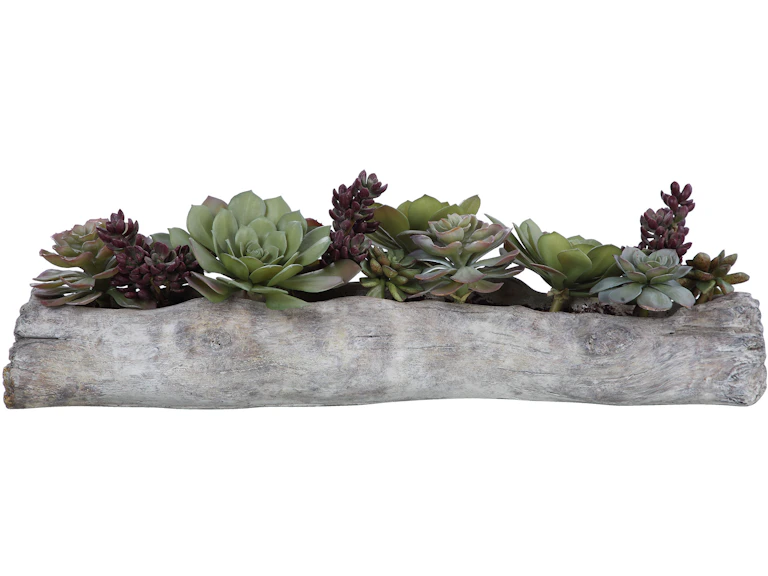 norrwood Uttermost Flowers and Plants Charita Lush Succulents 60174 at Norwood Furniture