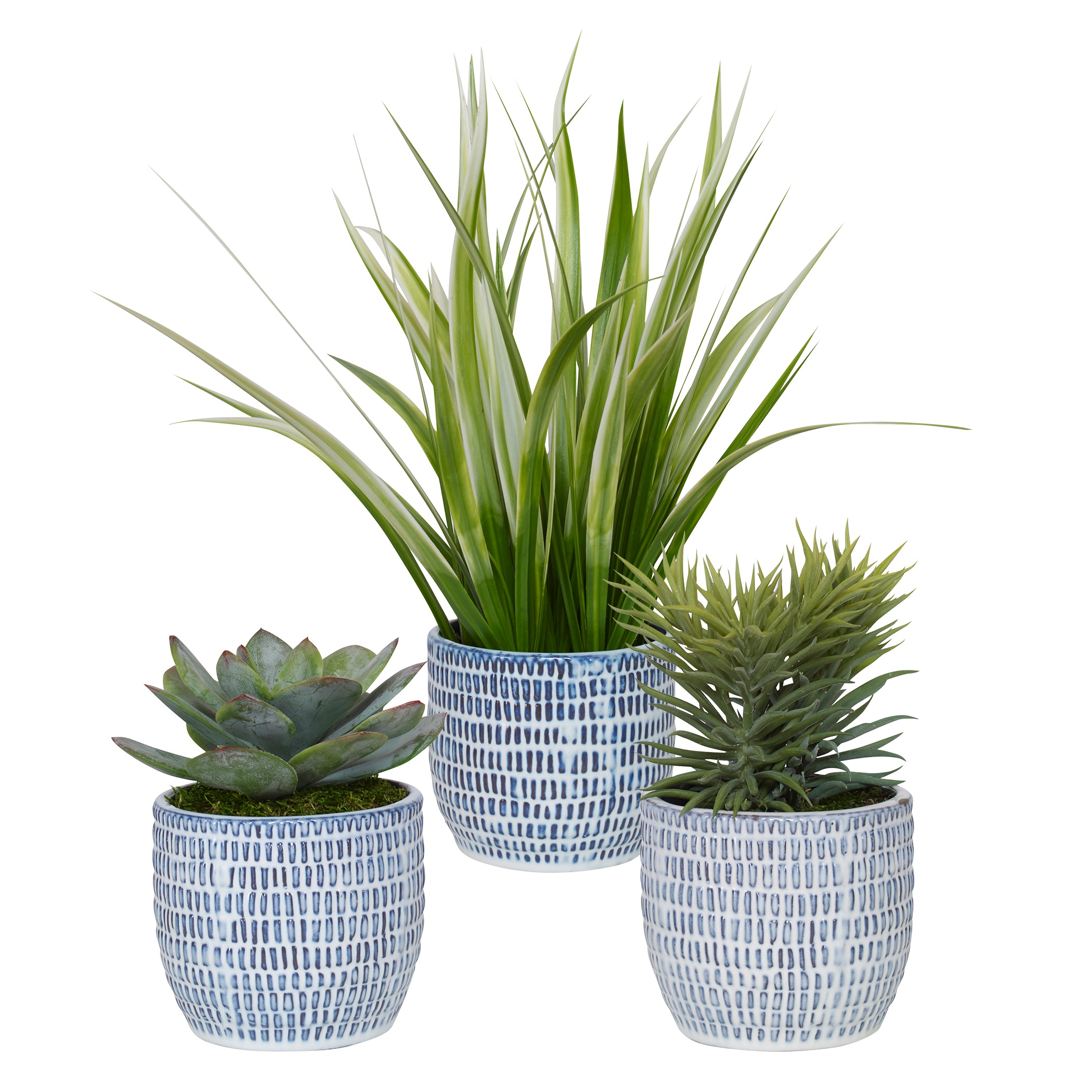 Puebla Greenery In Blue and White Pots Set/3 UT60192