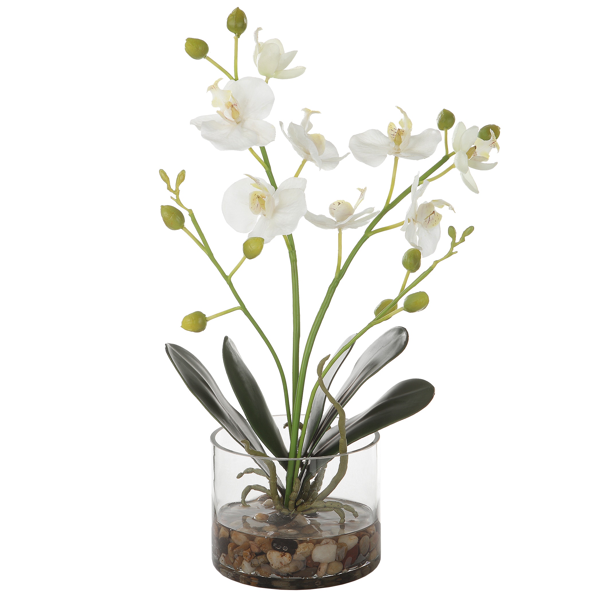 Uttermost Flowers and Plants Glory Orchid 60201 - Interior 