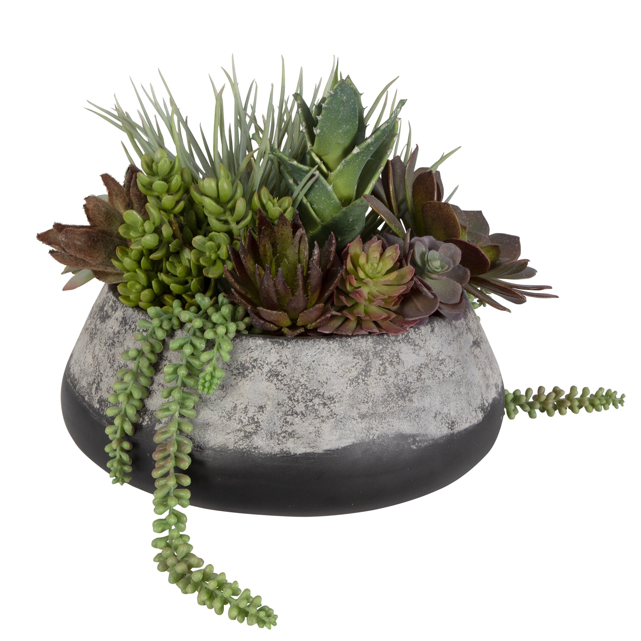 Uttermost Yuma Yuma Succulent Centerpiece 60214 - Portland