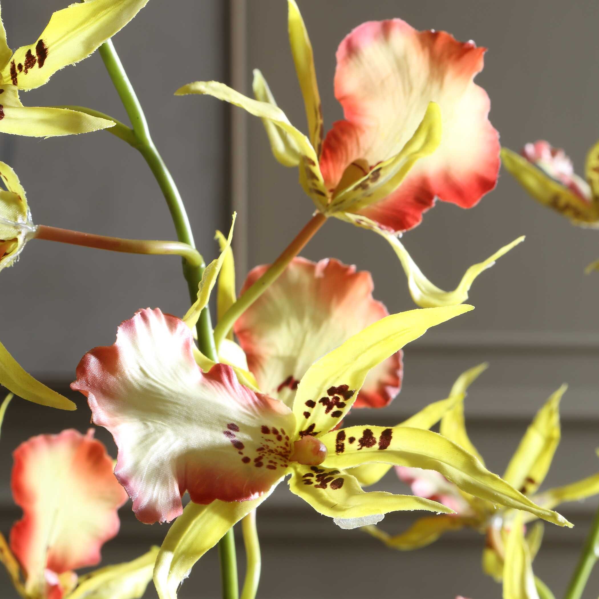 Uttermost Flowers and Plants Spider Orchid In Glass Vase 60274