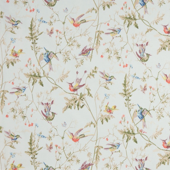 Cole & Son HUMMINGBIRDS COTTON PRINT RUBAN F62/1004.CS - Lee Jofa New ...