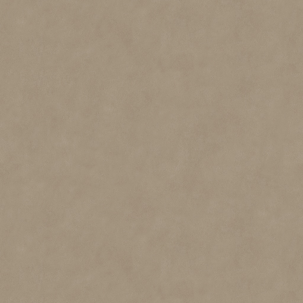 Beige/Tan 9004-11