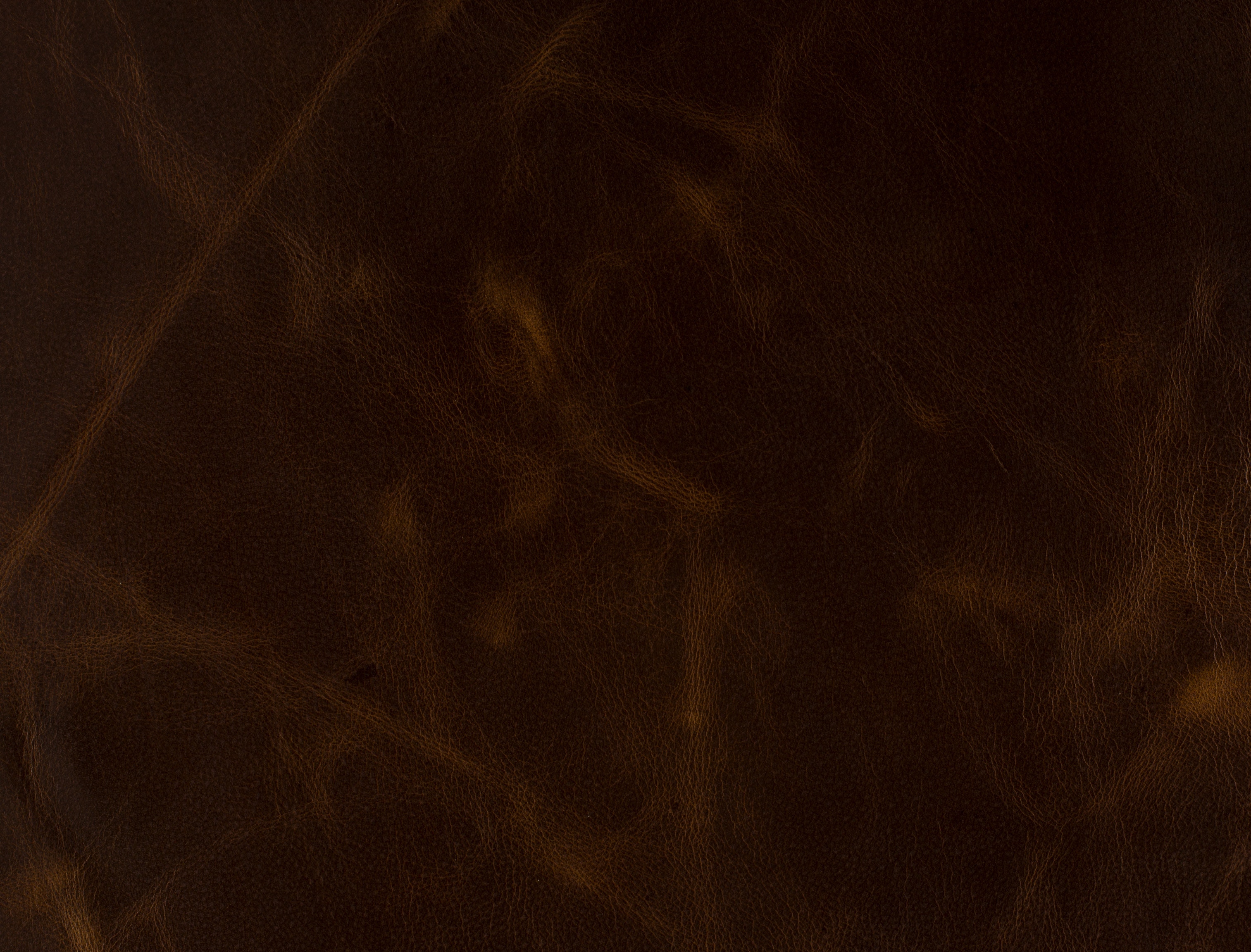 Bradington Young Leather 919600-88 - Bradington Young - Hickory, NC